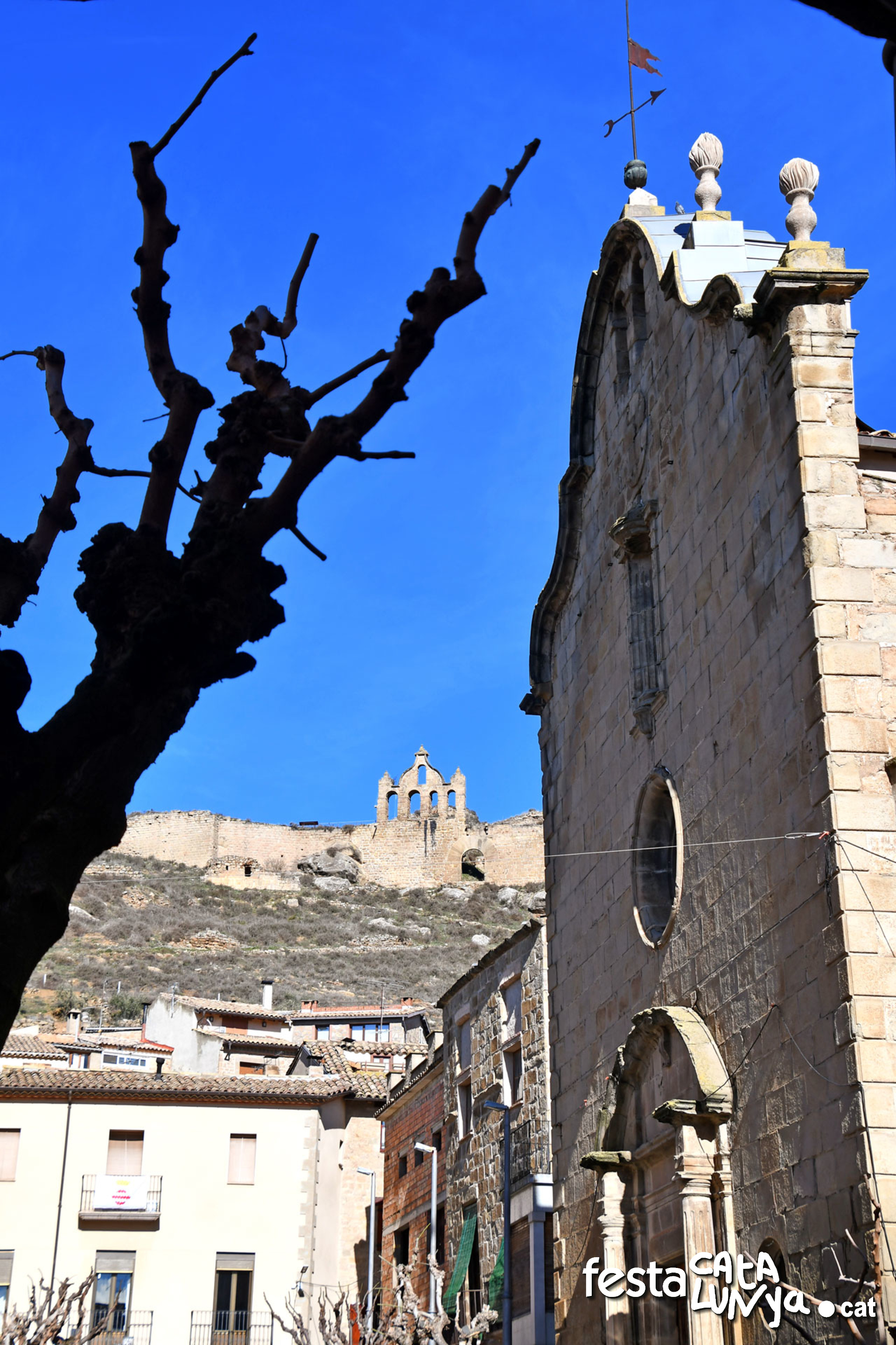 Sanaüja - Església parroquial de Santa Maria