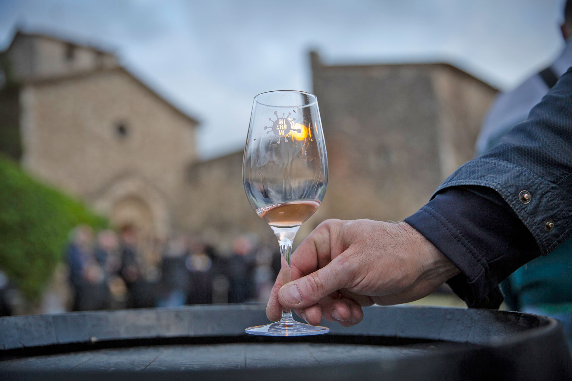 Microvi a Avinyonet del Penedès