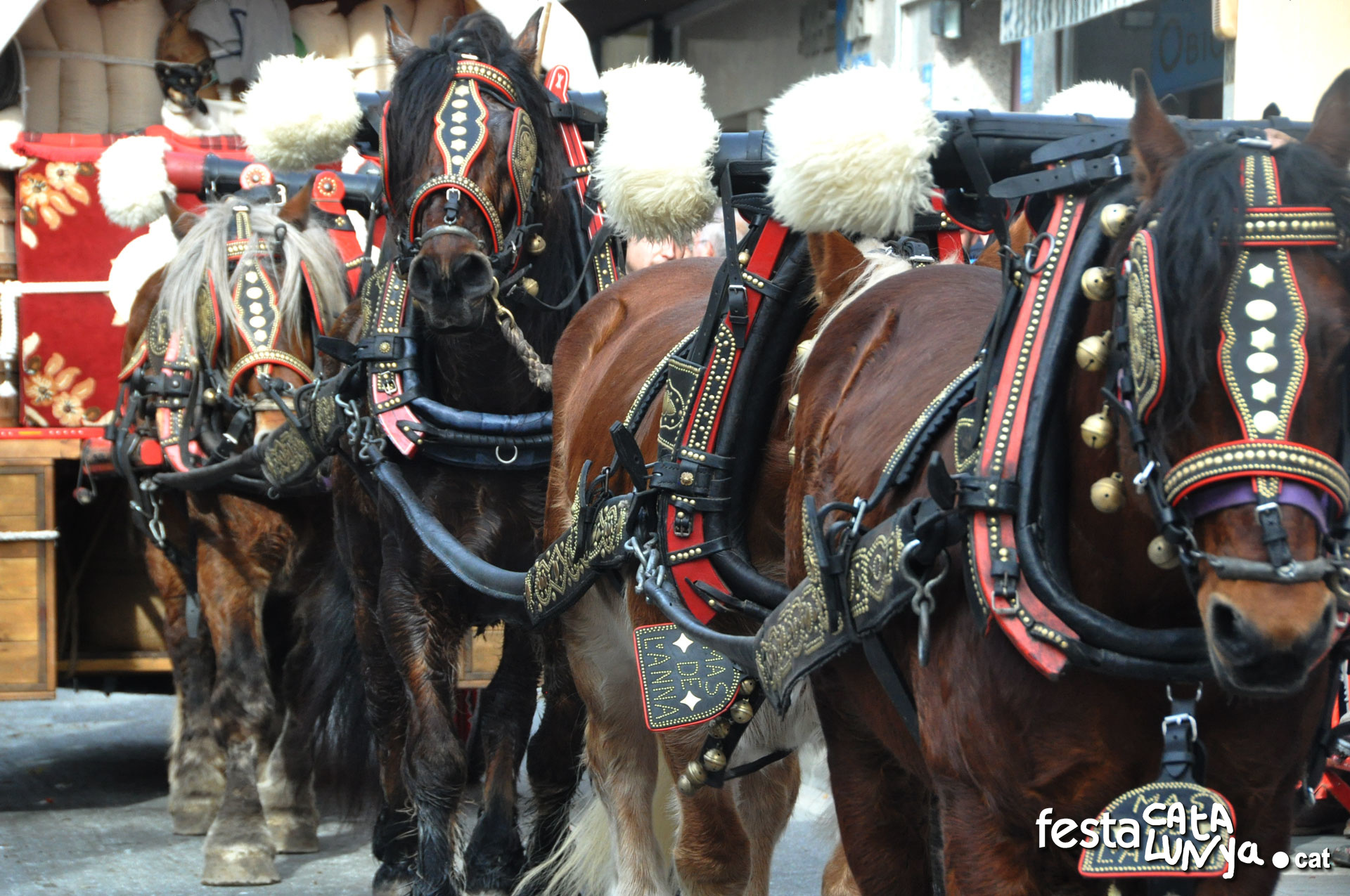 Festa dels Tres Tombs a Anglesola