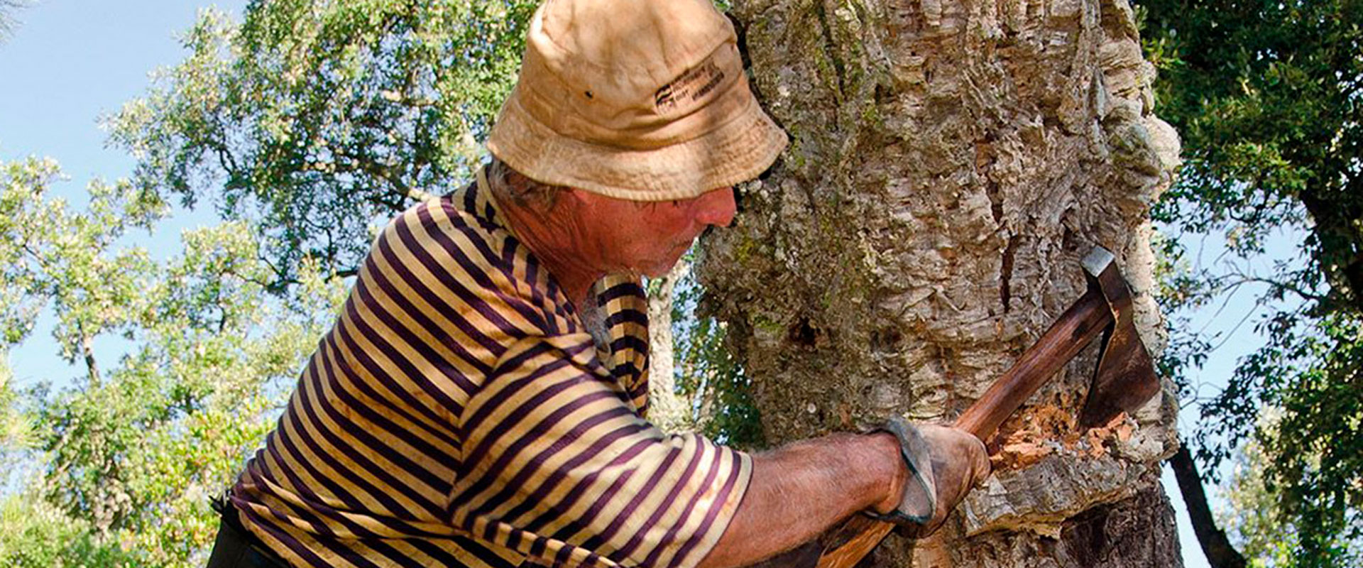 Cassà de la Selva - Fira del Tap i el Suro (Foto: www.firadeltap.cat)