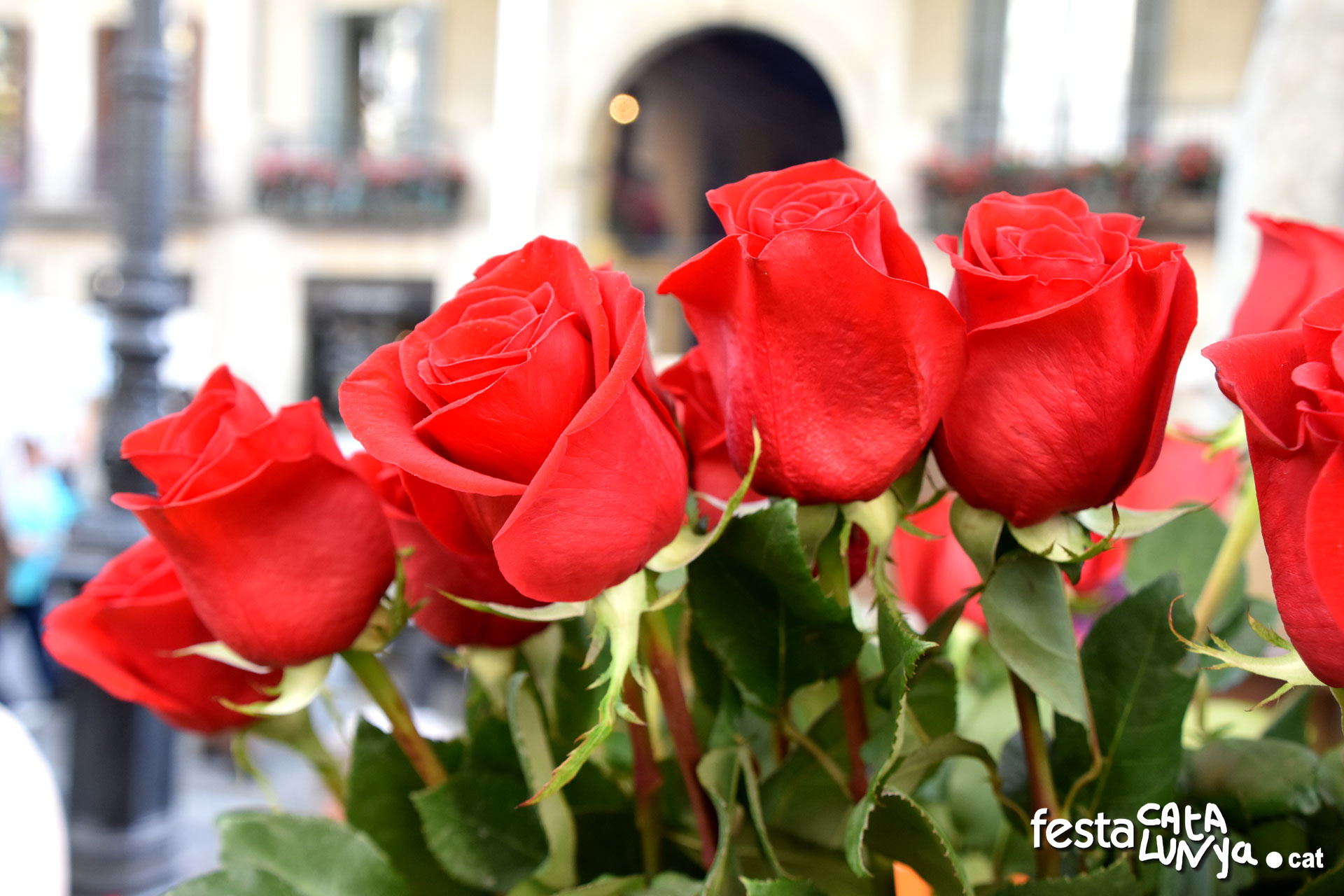 Roses