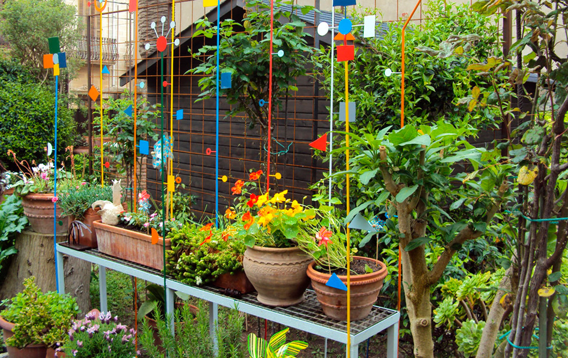 Flors i Violes a Palafrugell