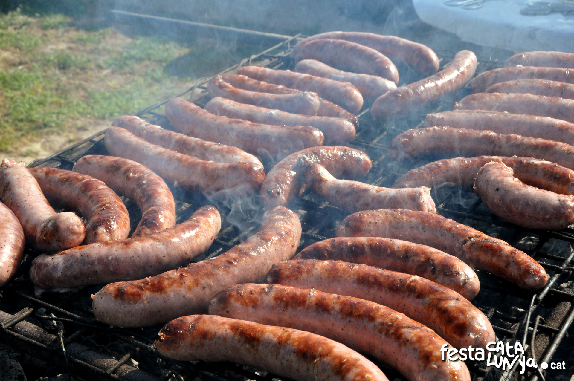 Festa del Porc a Moià