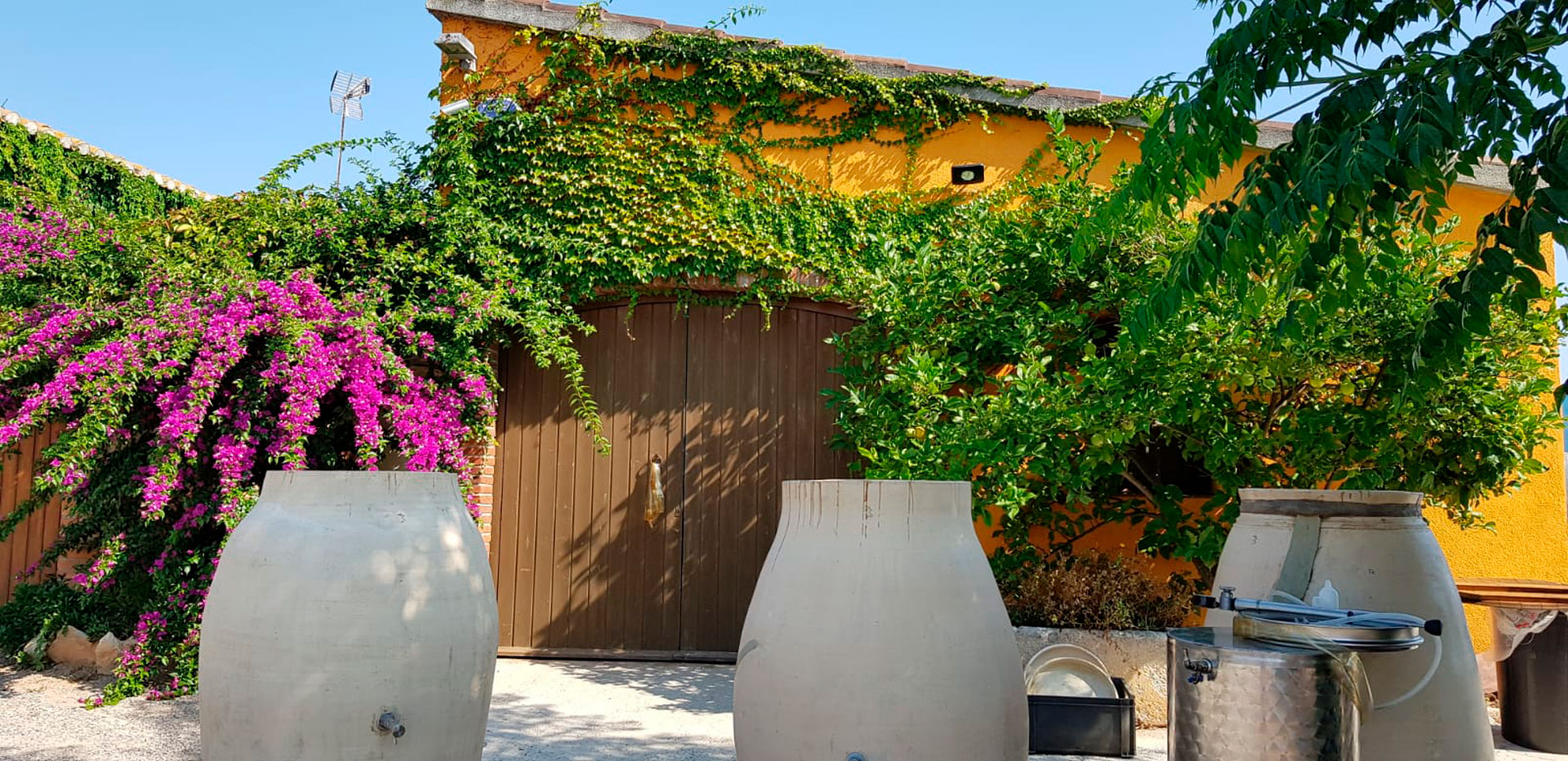 Celler Vinyes singulars a Pacs del Penedès ***