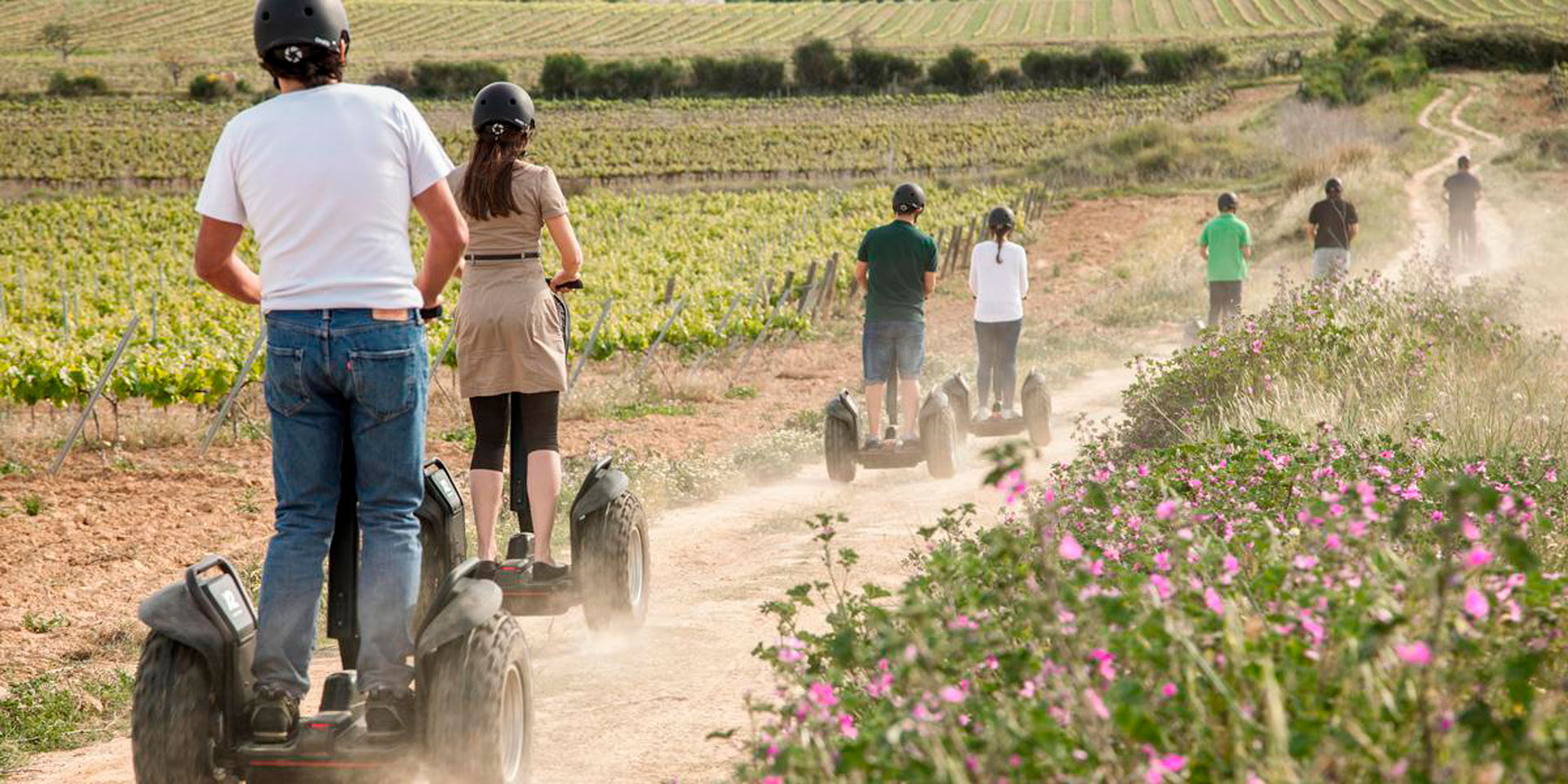 Esportec - Ecoruta turística guiada en segway pel Penedès entre vinyes