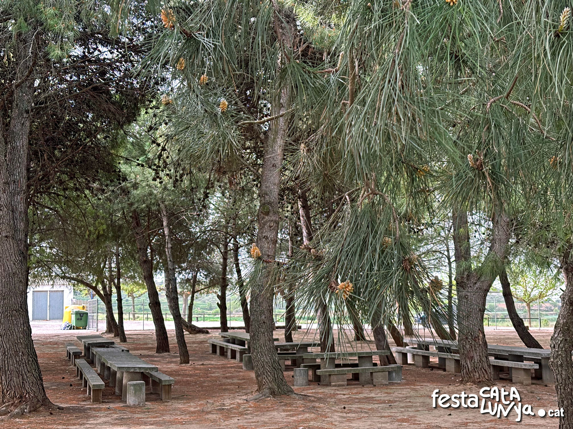 Sidamon - La Pineda
