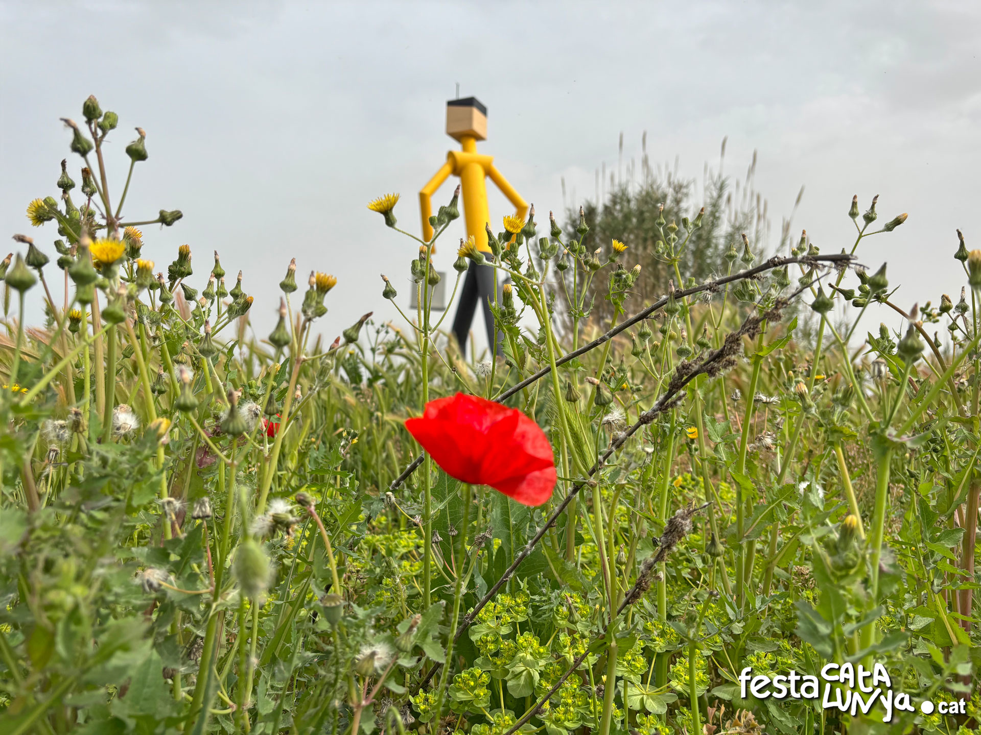 Sidamon - Monument L'Indíbil, el gegant de Sidamon