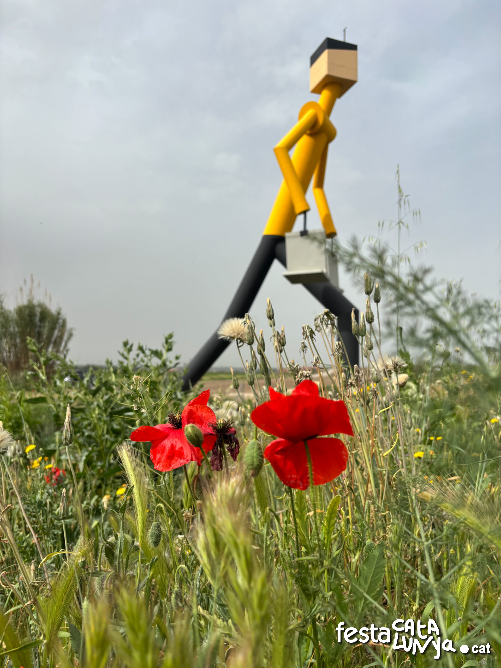 Sidamon - Monument L'Indíbil, el gegant de Sidamon