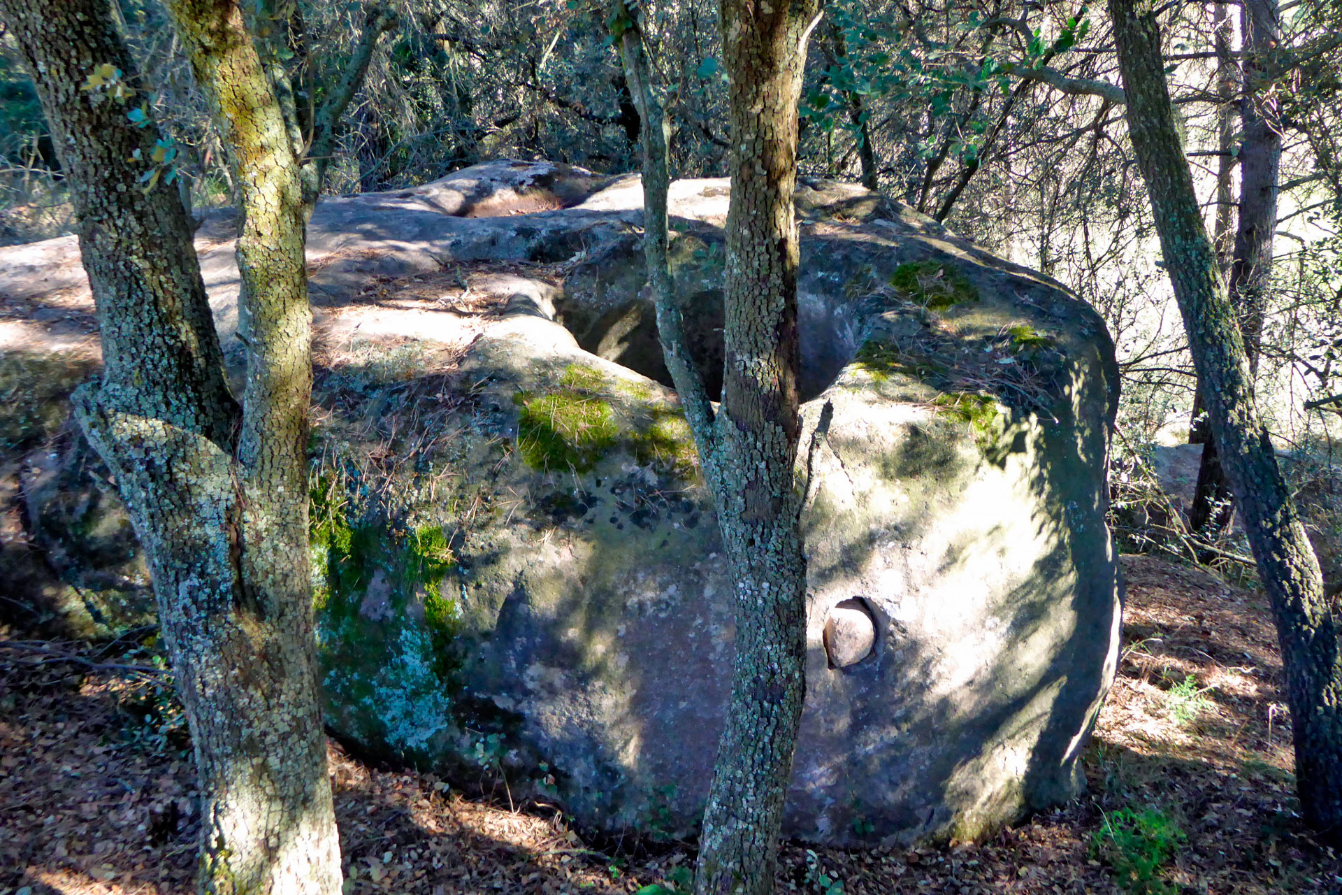 Tines del Pla de Sant Pere o de la Terra de l’Espinalt a Navàs