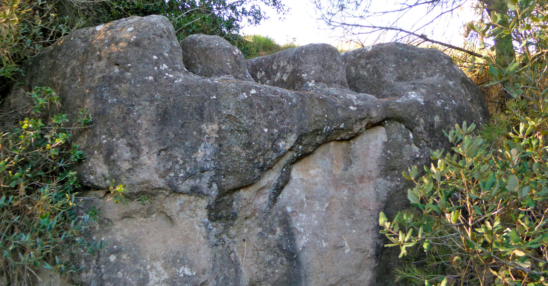 Tombes de la Terra de l'Espinalt a Navàs