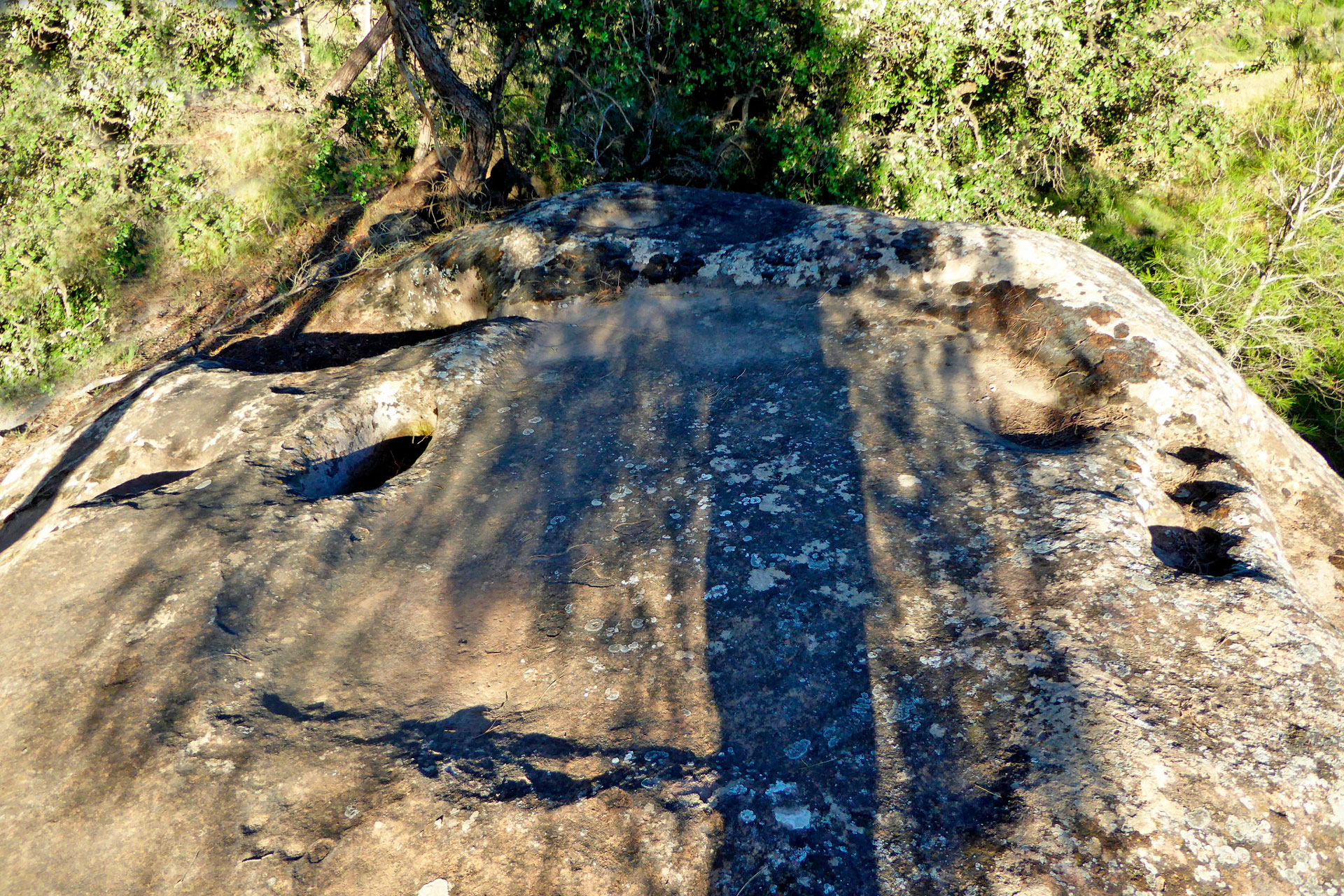 Premsa del Camí de l’Alzina o trull del Pla de Sant Pere i escales del Convent a Navàs