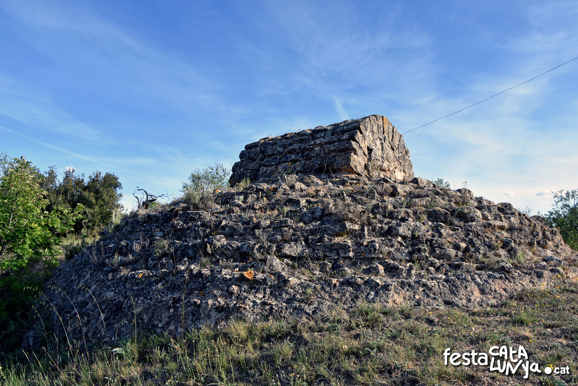 Povet del gel d'Arnes