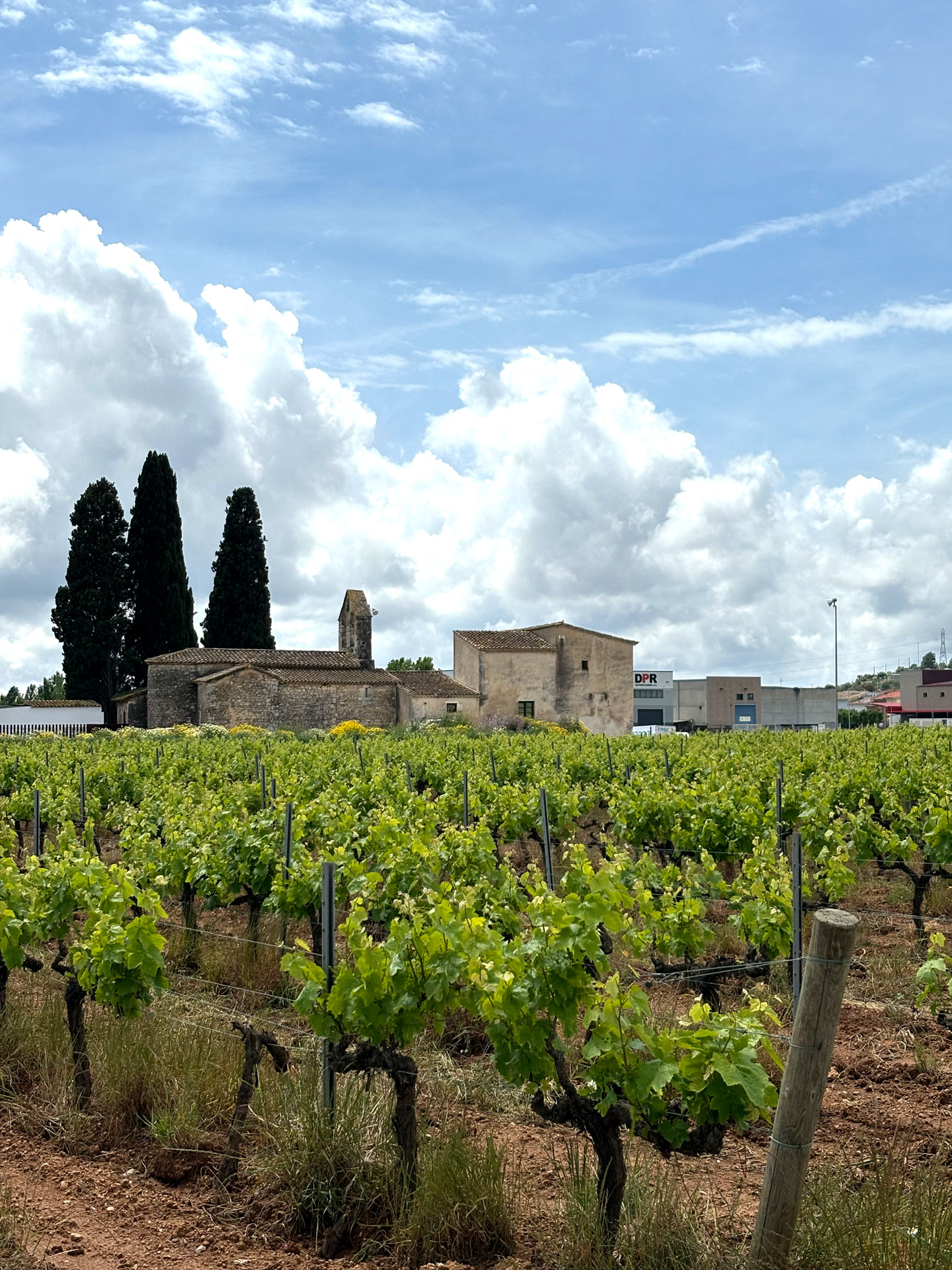 Les Cabanyes - Vilantí, Festival de música i vi a Sant Valentí (Foto: Penedès Turisme)