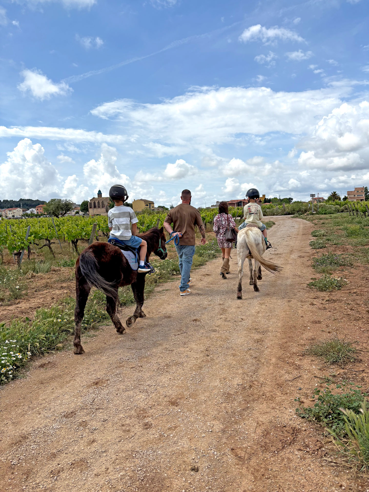 Les Cabanyes - Vilantí, Festival de música i vi a Sant Valentí (Foto: Penedès Turisme)