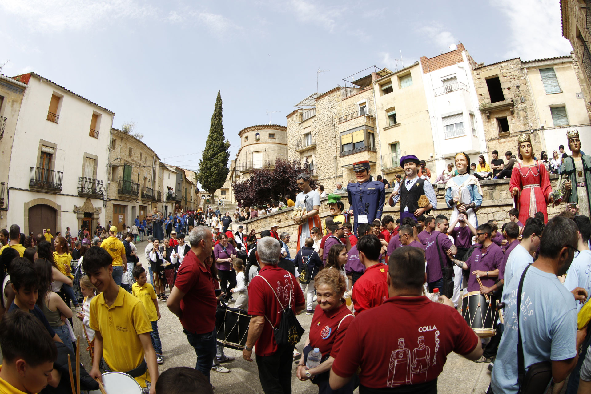 Maials - Trobada de Gegants (Foto: Ajuntament)
