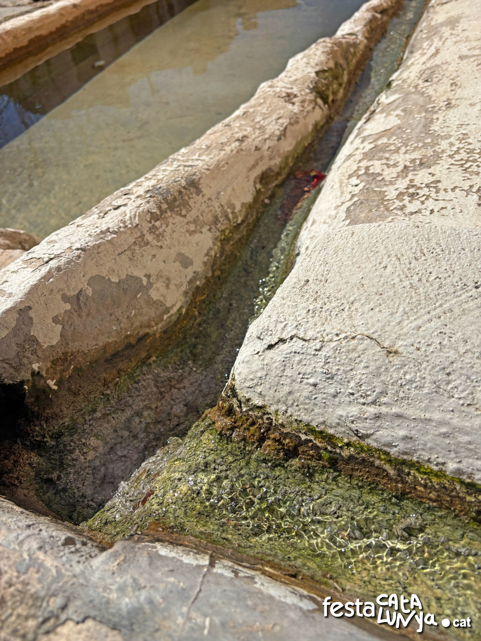 Cabra del Camp - Font de la Creu i Abeurador
