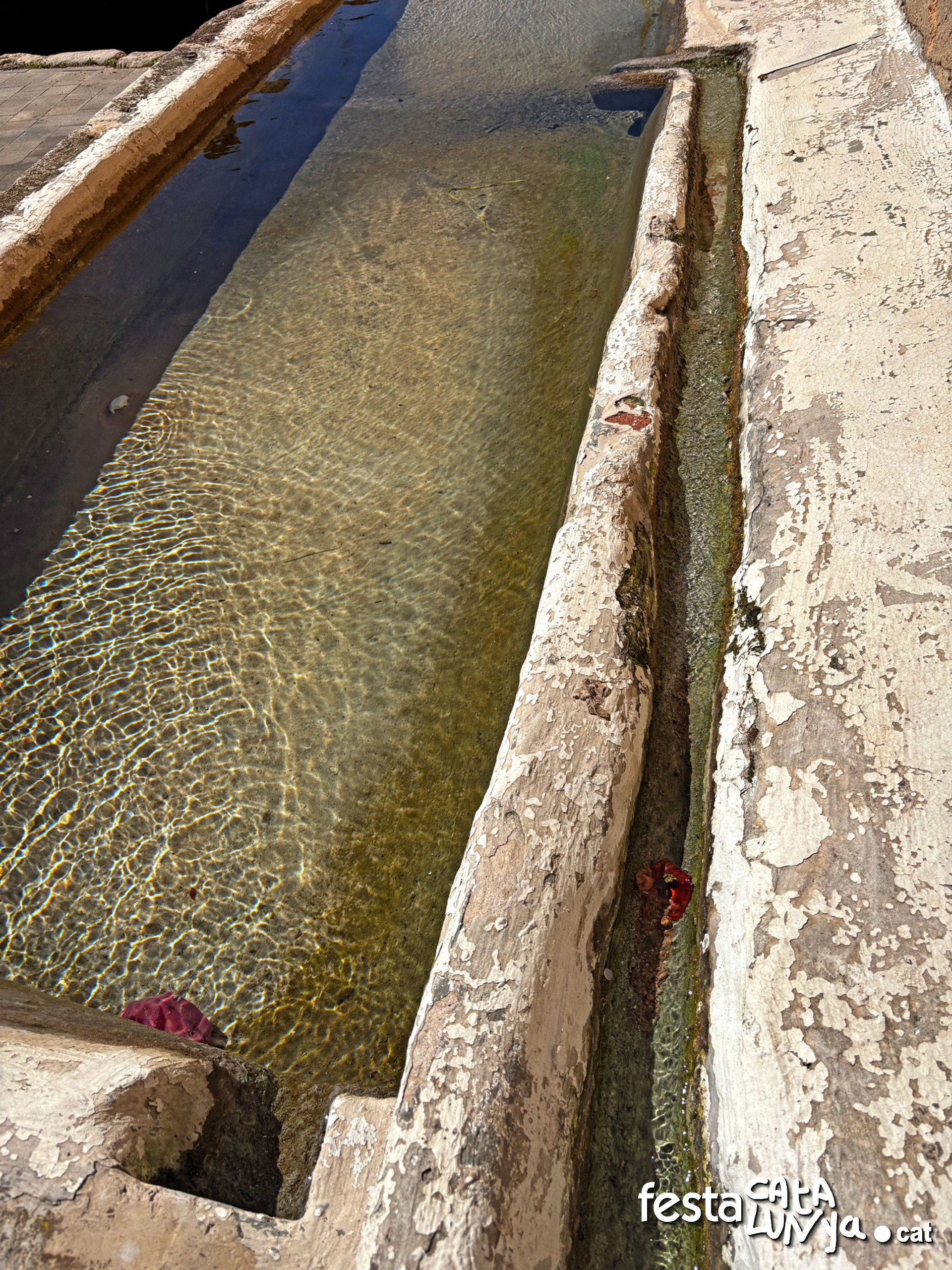 Cabra del Camp - Font de la Creu i Abeurador