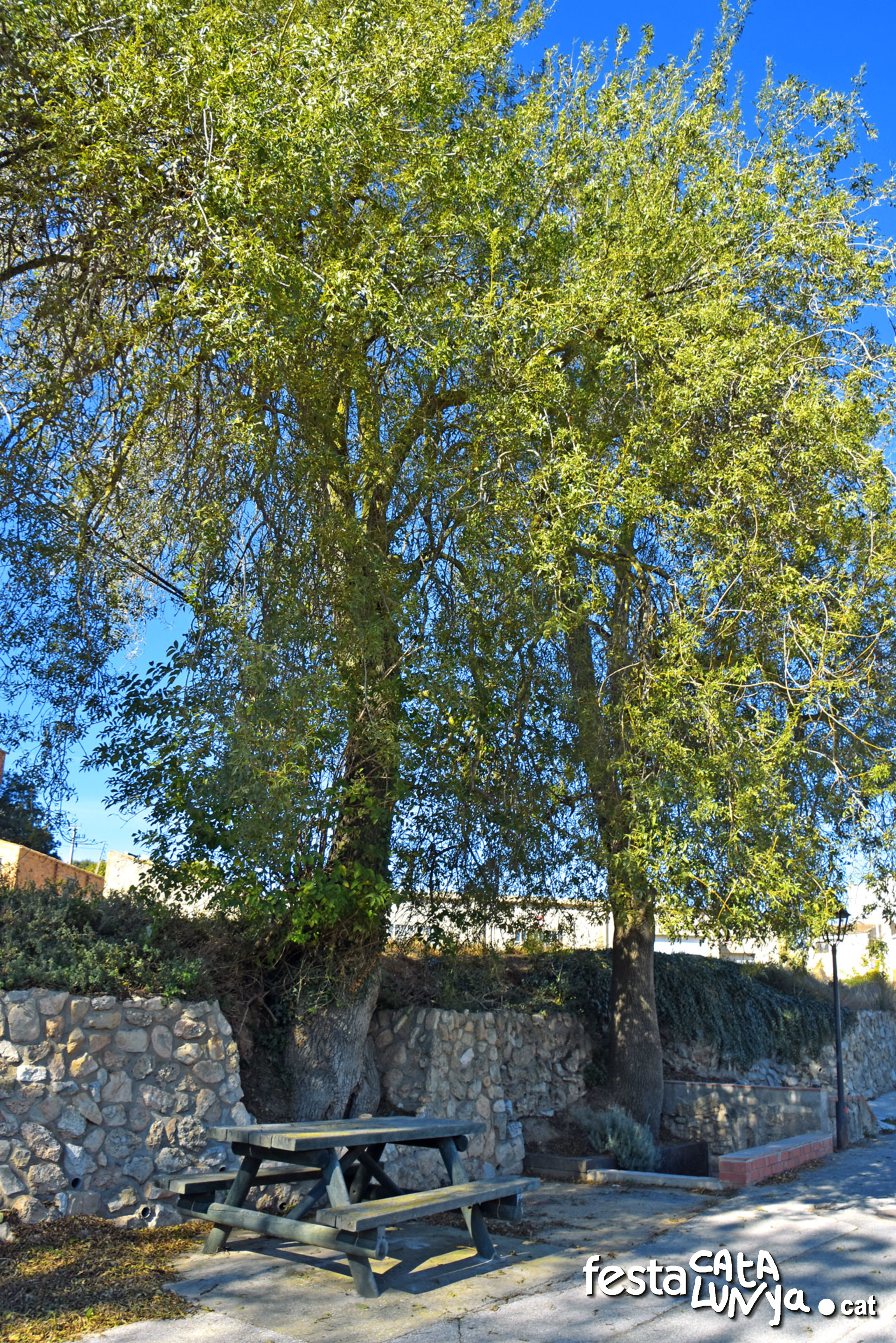 Cabra del Camp - Font del Sant Crist