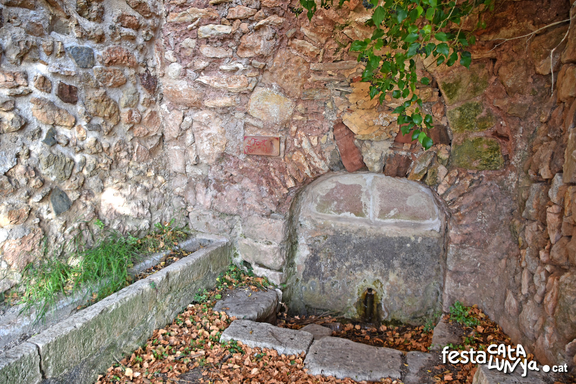 Cabra del Camp - Fontscaldetes - Font