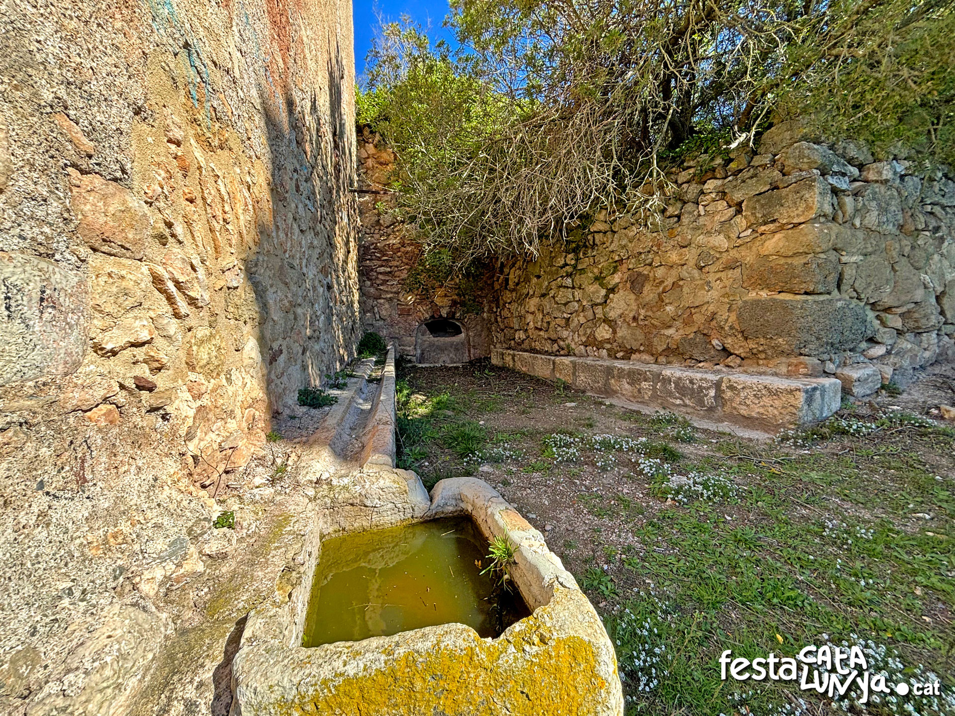Cabra del Camp - Fontscaldetes - Font