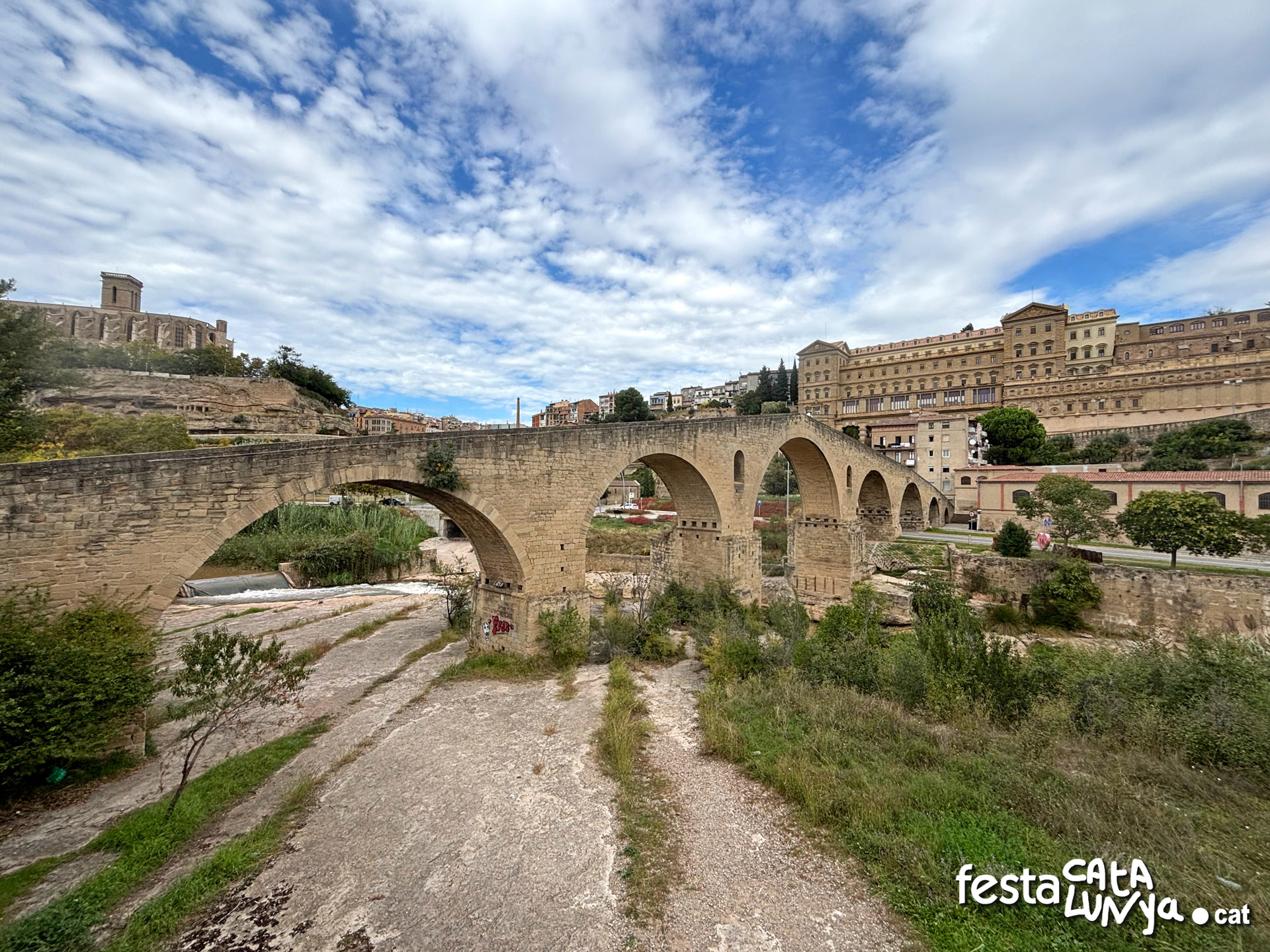 Pont Vell de Manresa ***