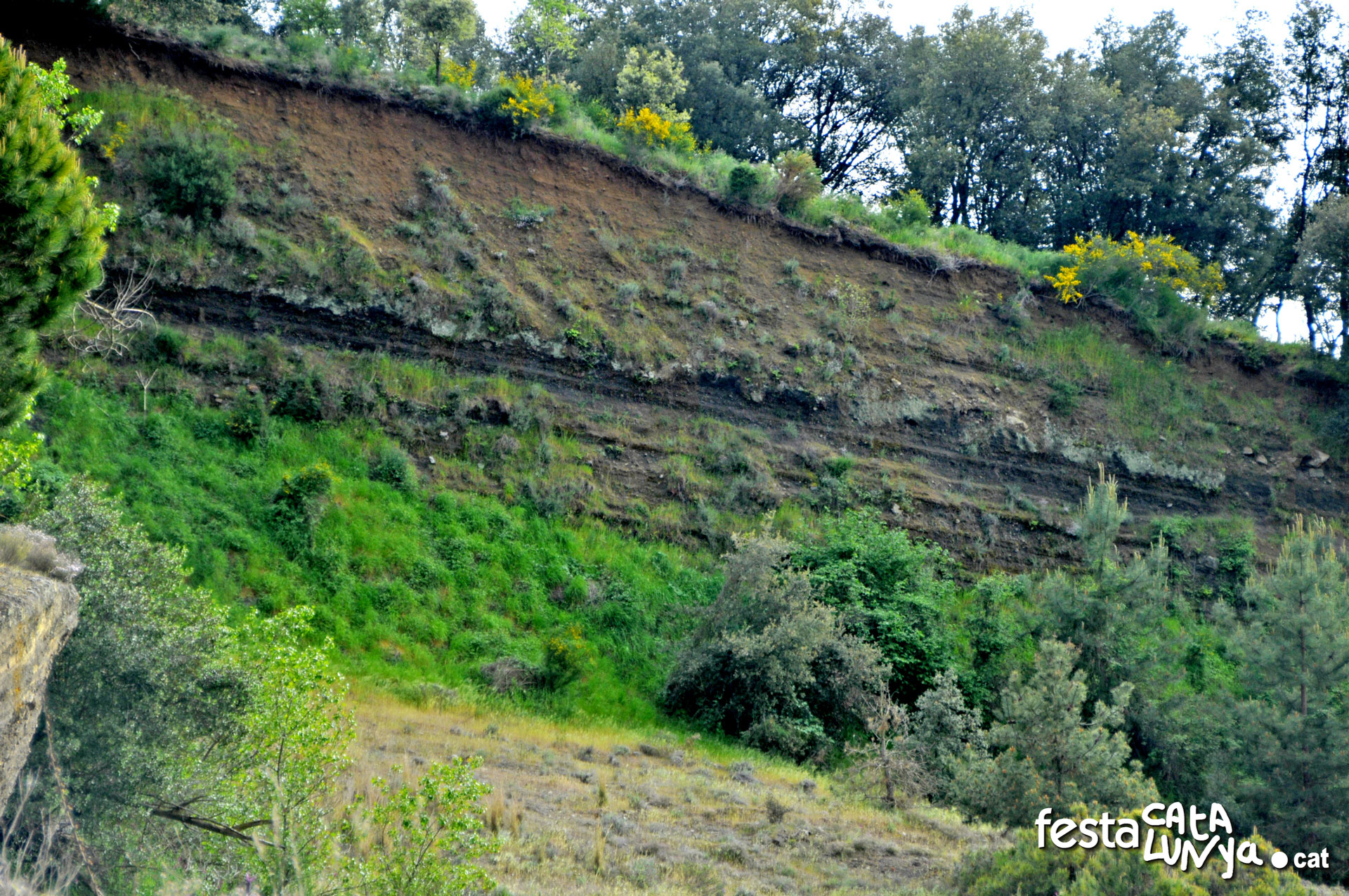 Vilobí d'Onyar - Volcà de la Crosa -  Gredera de Can Costa