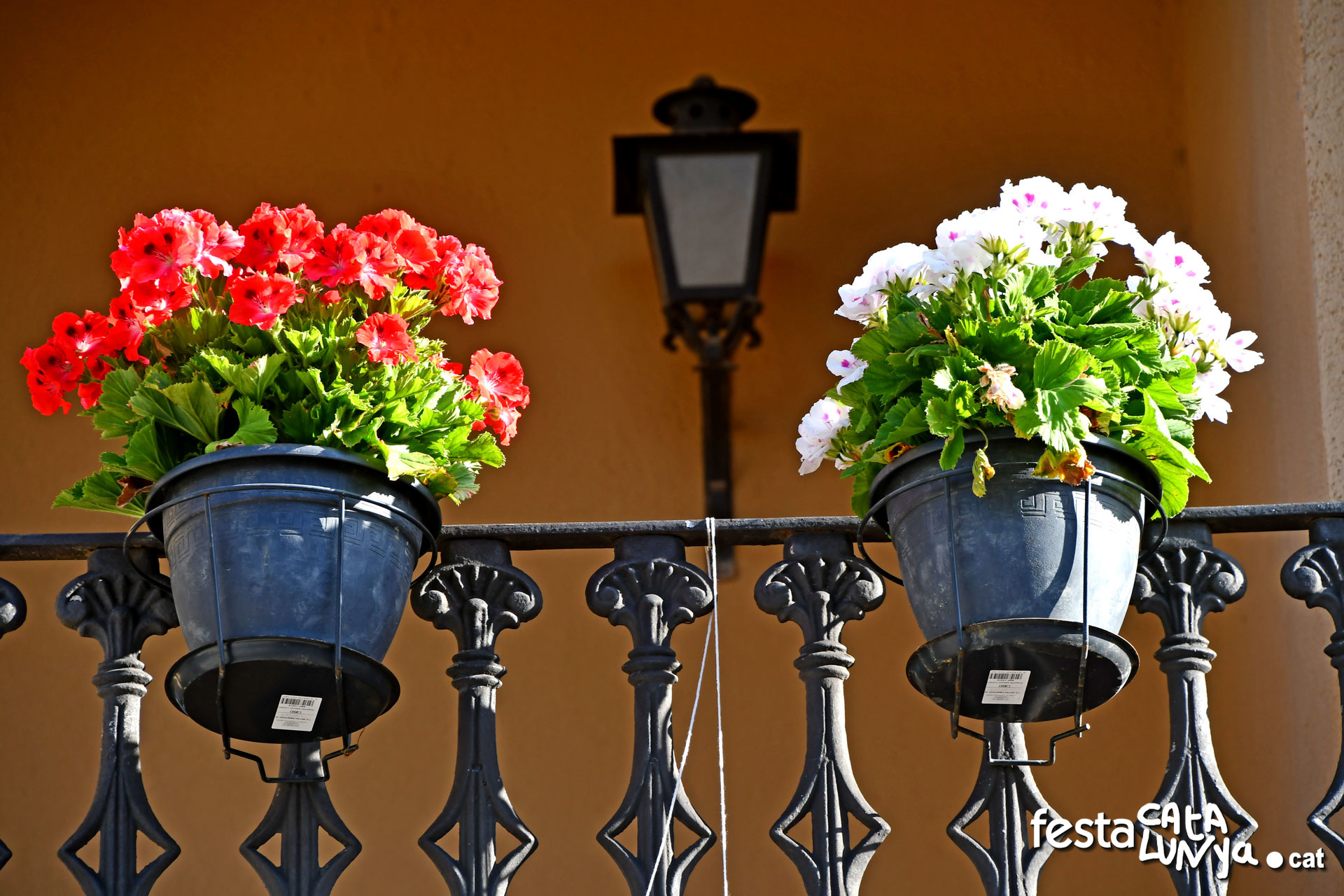 Sant Jordi Desvalls - Can Micaló, actual Ajuntament