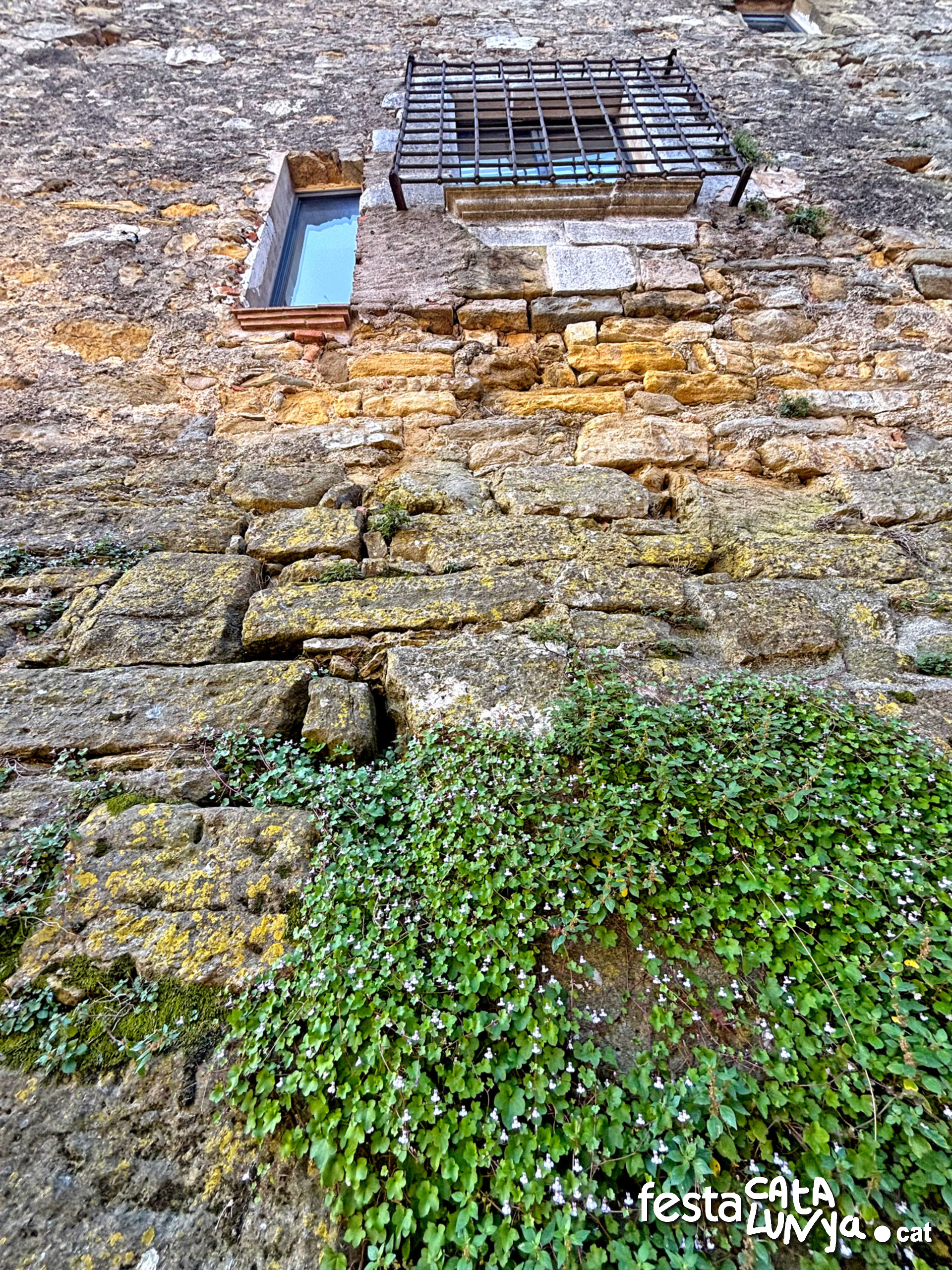 Sant Jordi Desvalls - Castell de Sant Jordi