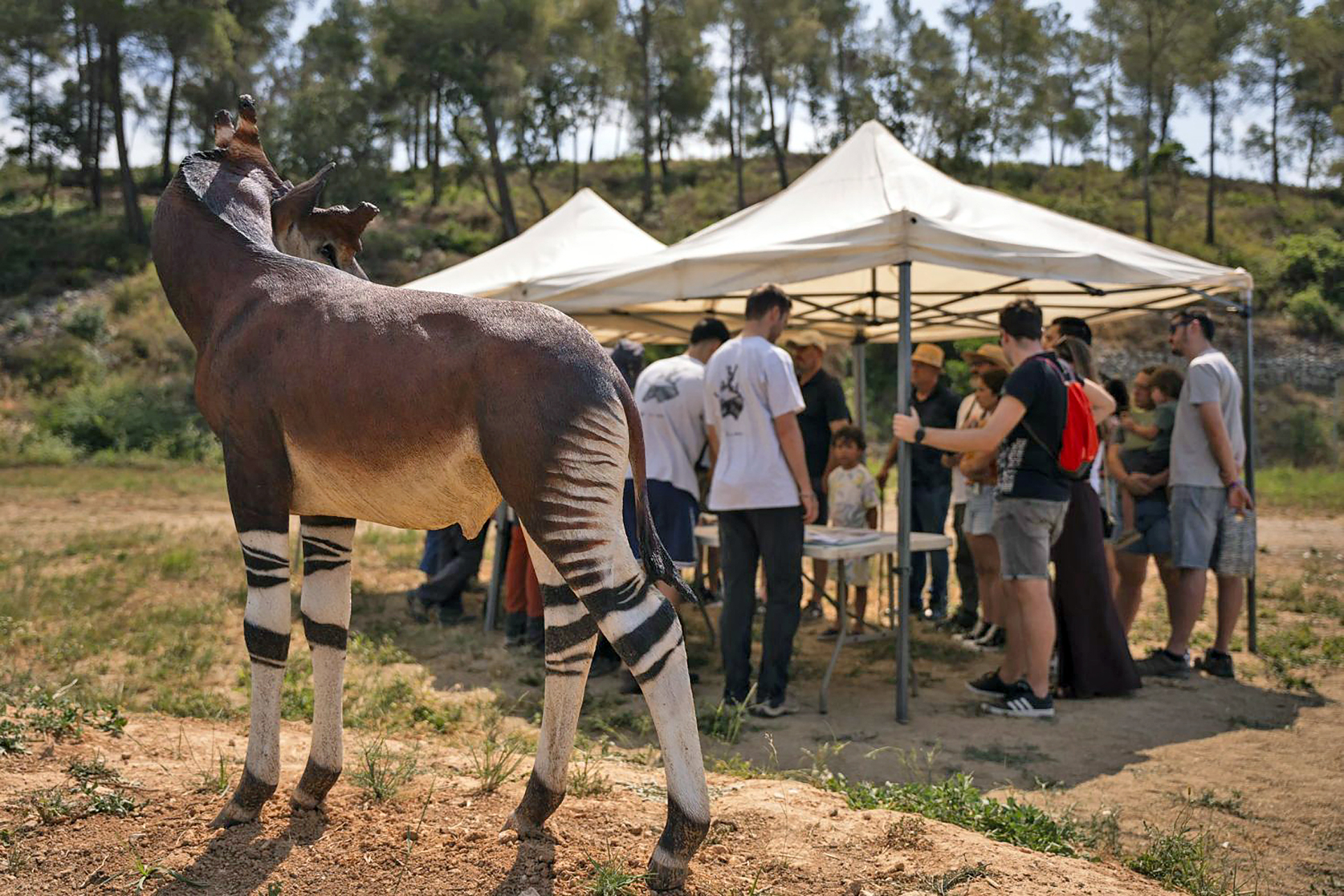 Subirats - Jaciment arqueològic dels Casots a Subirats (Foto: Turisme Subirats)