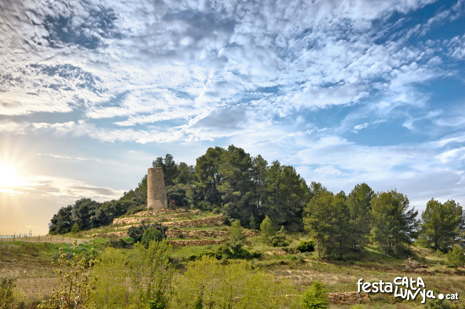 Subirats - Torrota d'en Llopart
