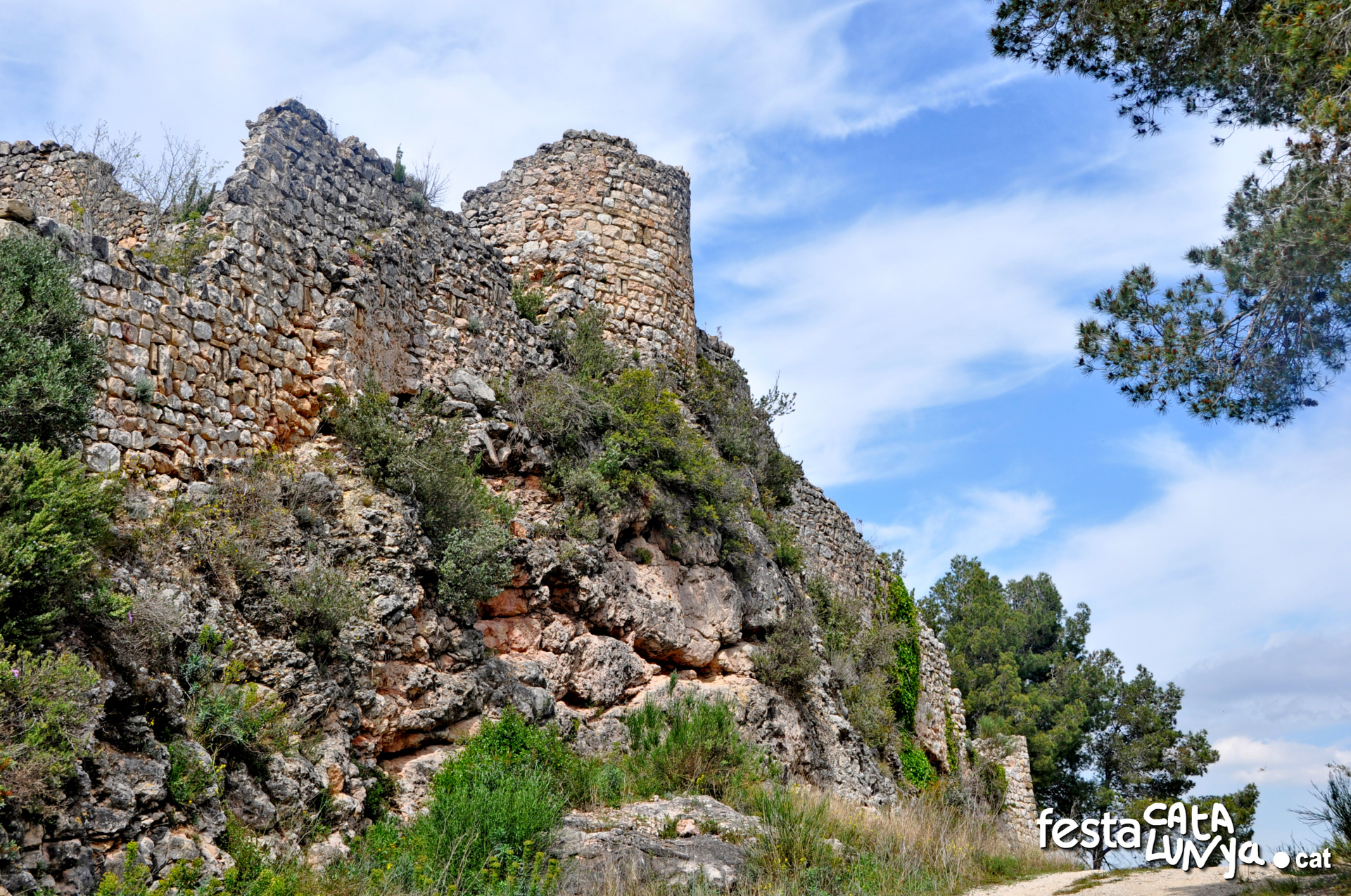 Castell de Subirats ***