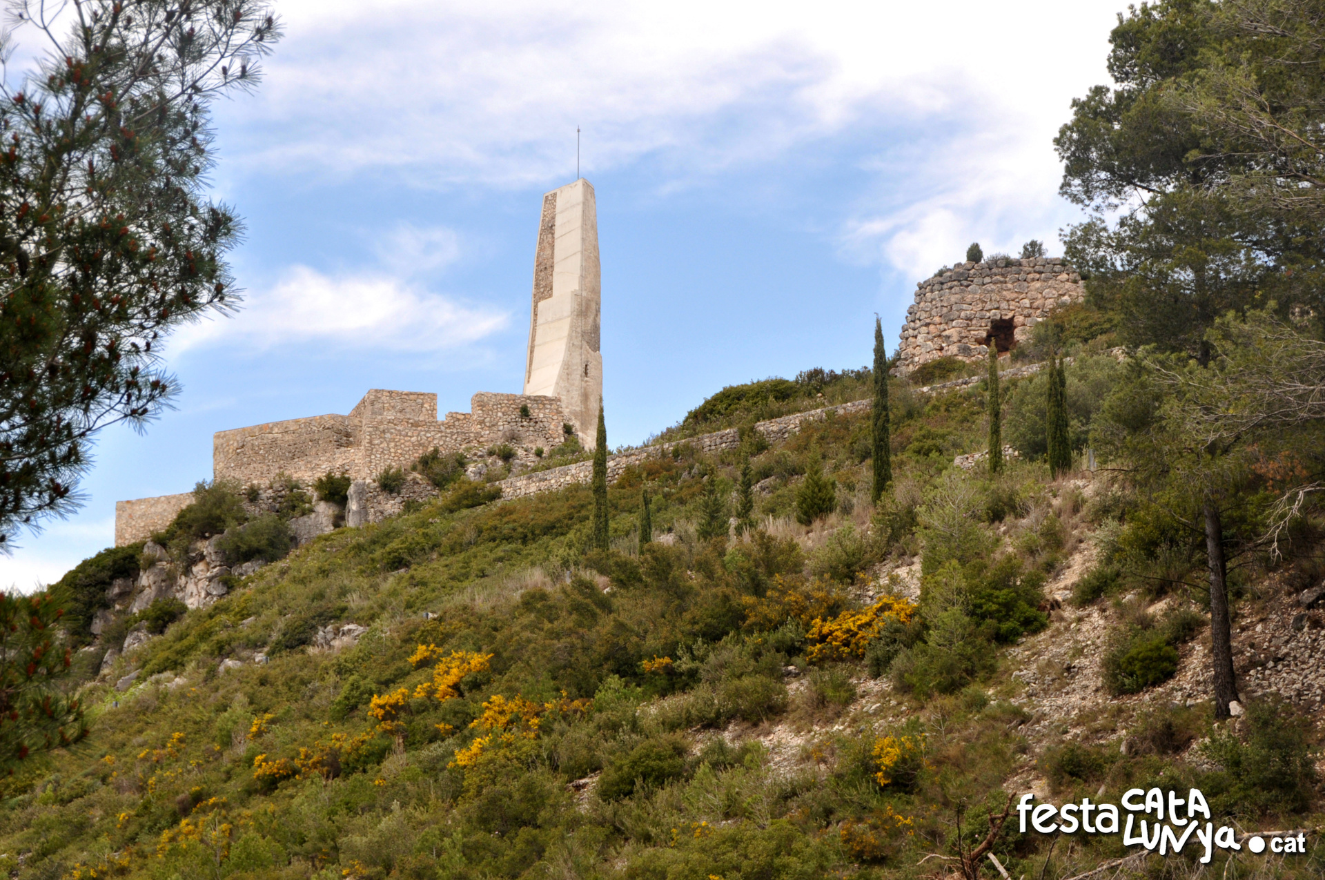 Castell de Subirats ***