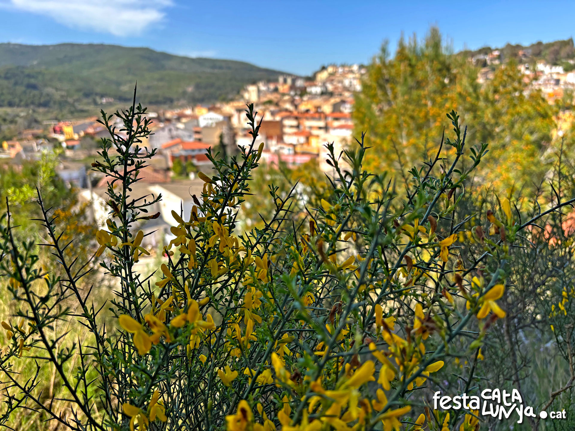 Sant Quintí de Mediona - Ermita de Sant Antoni i Torre Carlina - Vistes panoràmiques