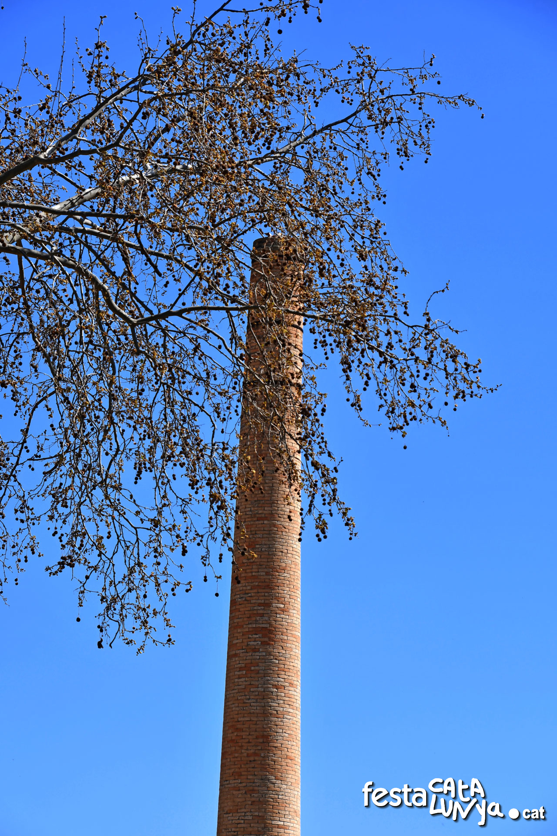 Sant Quintí de Mediona - Fàbrica de ca l'Oliver