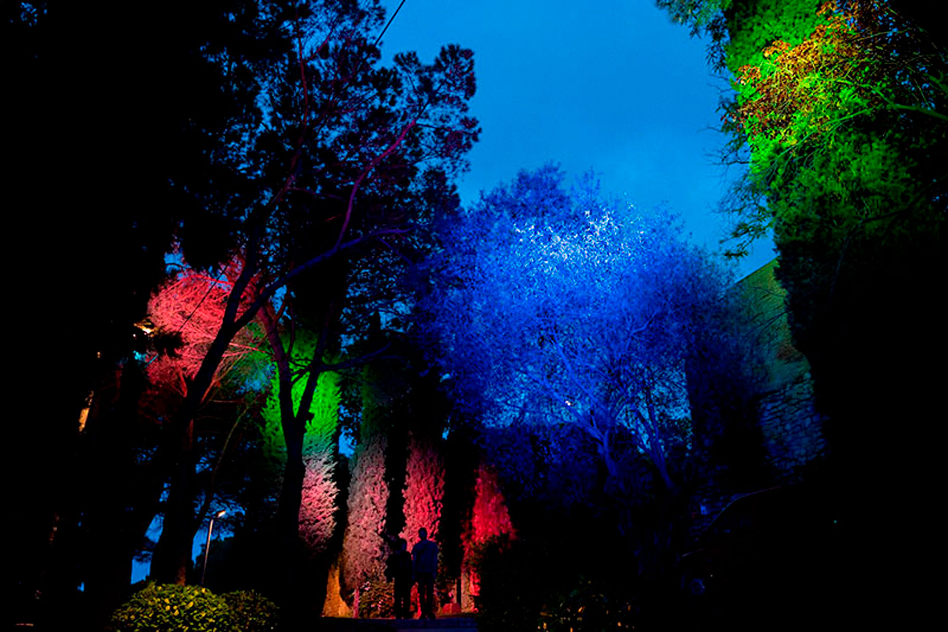 Girona Temps de Flors (Foto: Toni Vilches)