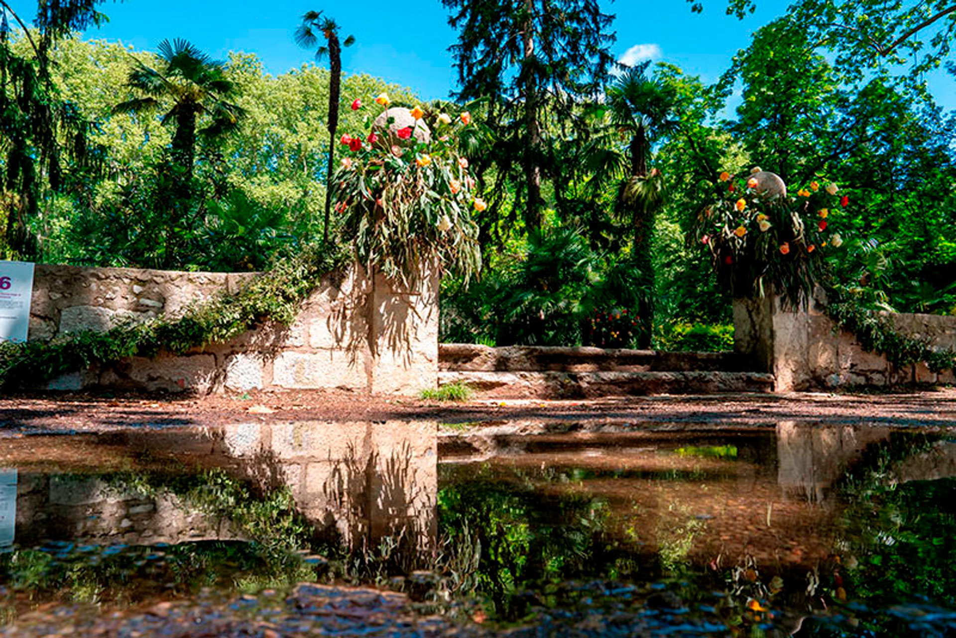 Girona Temps de Flors (Foto: Toni Vilches)