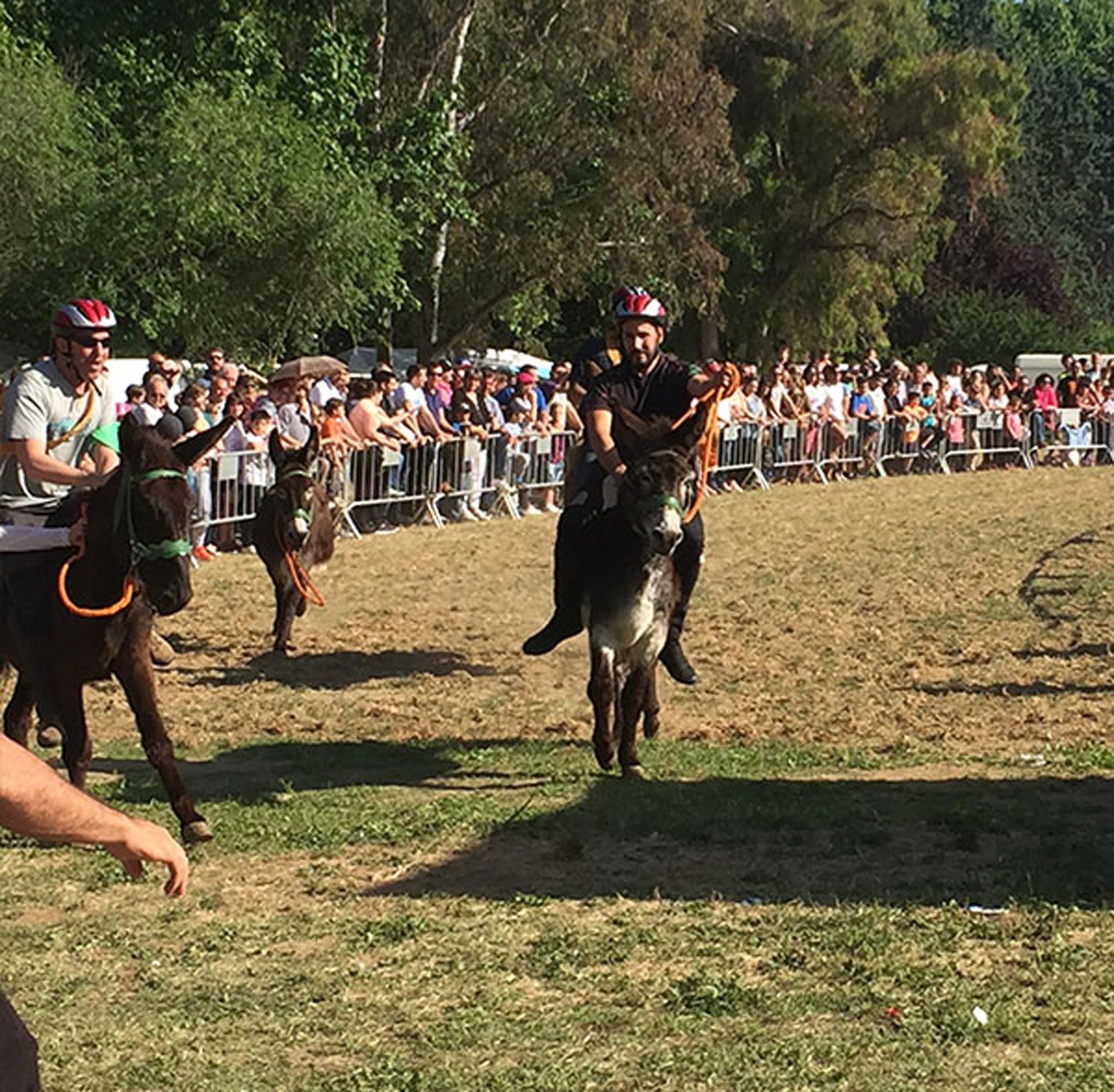 Cardedeu - FICARD, Fira de Sant Isidre (Foto: ficard.cat)