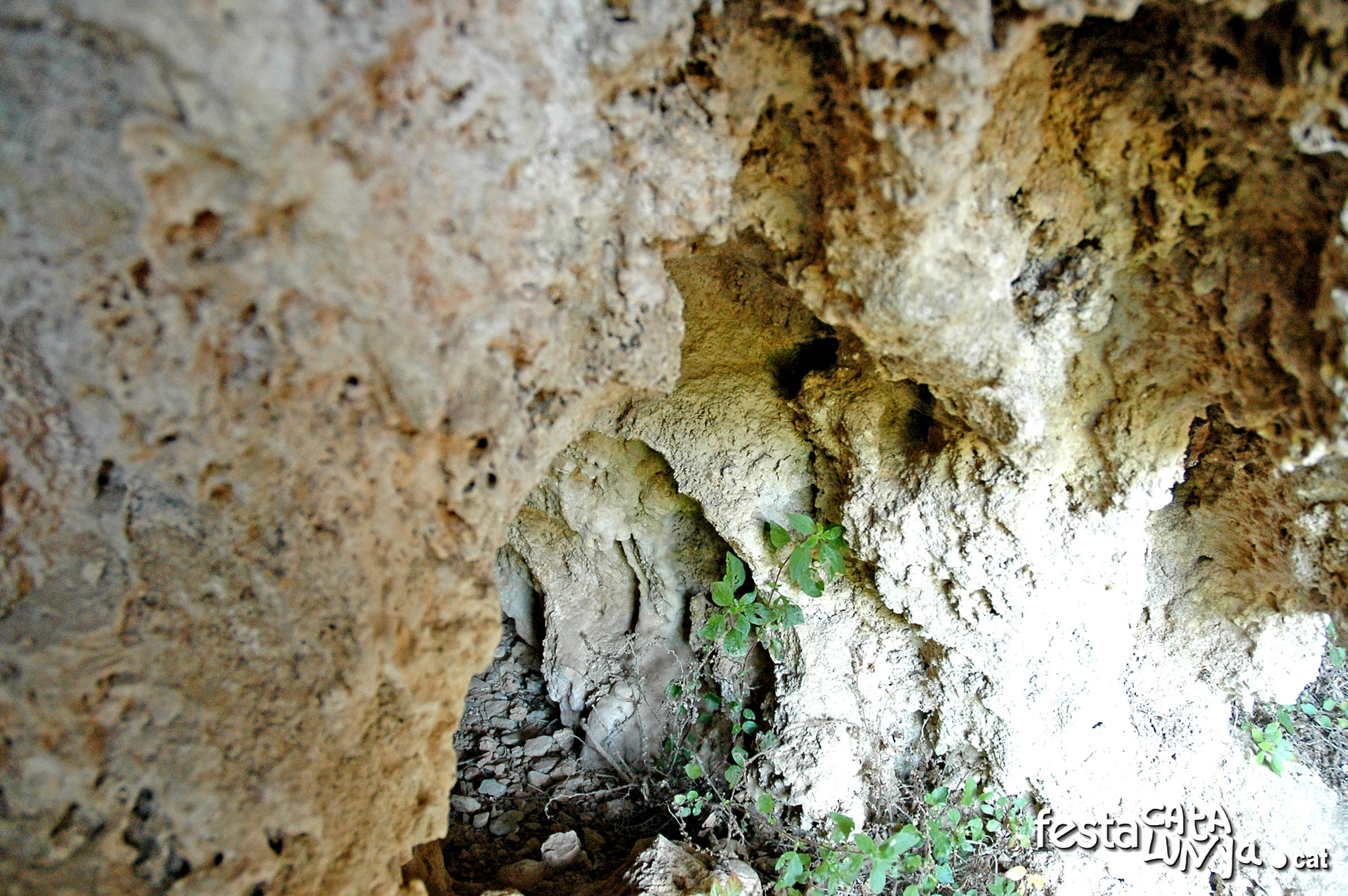 Sant Quintí de Mediona - Fonts i paratge de les Deus
