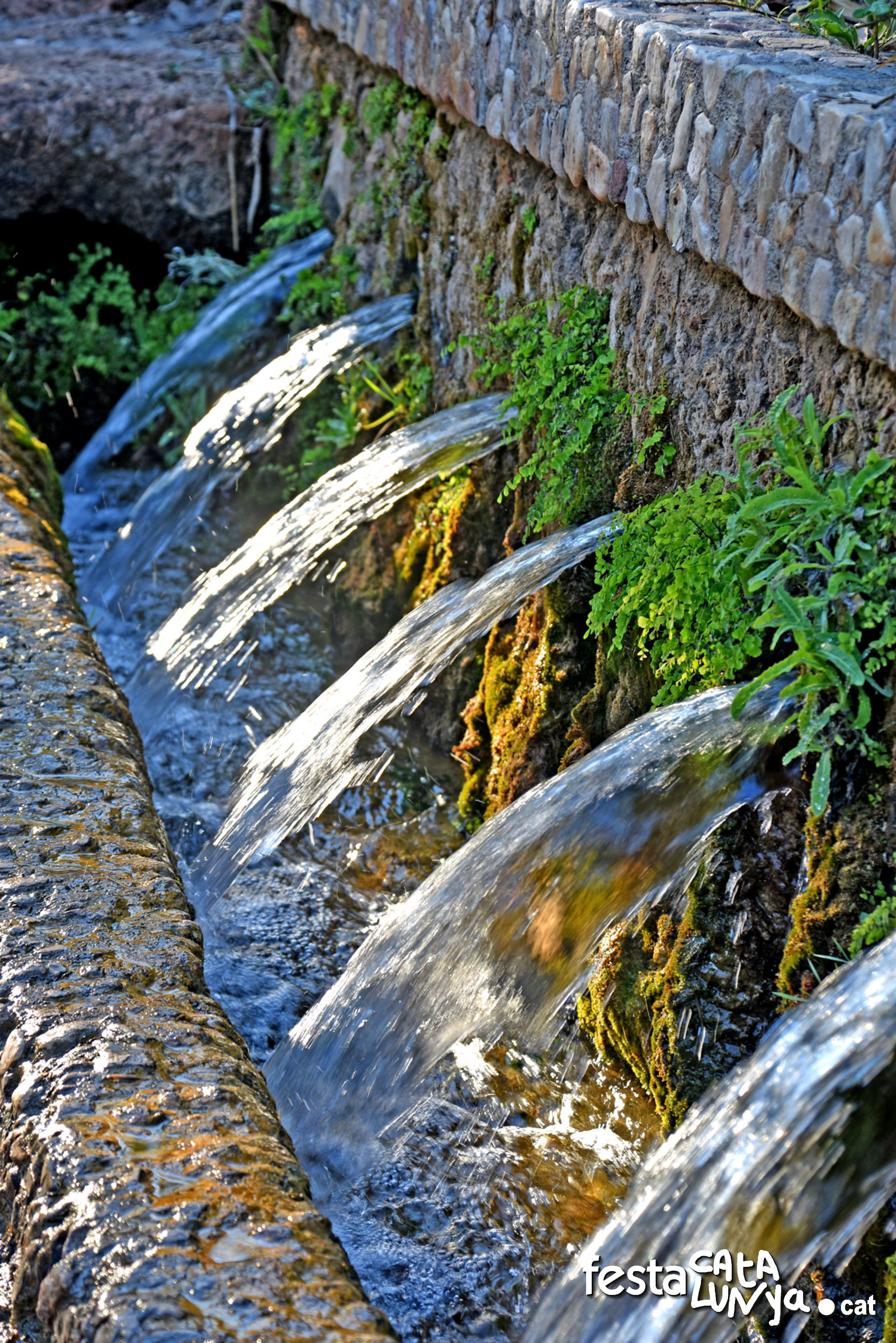 Sant Quintí de Mediona - Fonts i paratge de les Deus