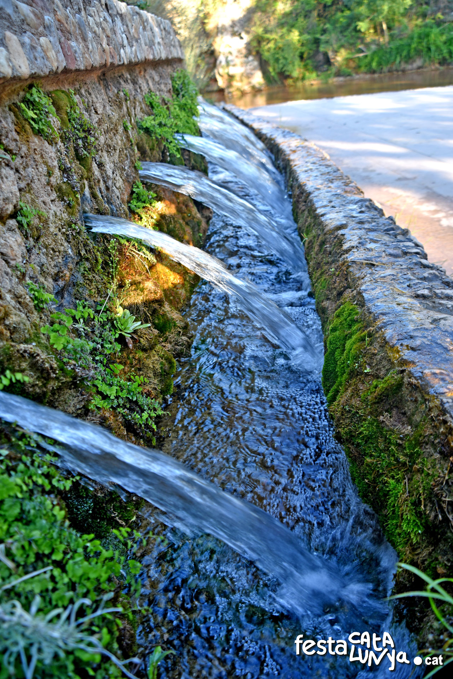 Sant Quintí de Mediona - Fonts i paratge de les Deus