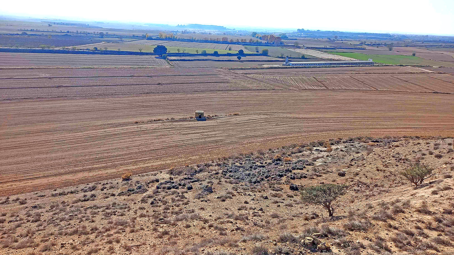 Vilagrassa - Niu de metralladores de la guerra civil sota el Tossal de Montcofre (Foto: Ajuntament)