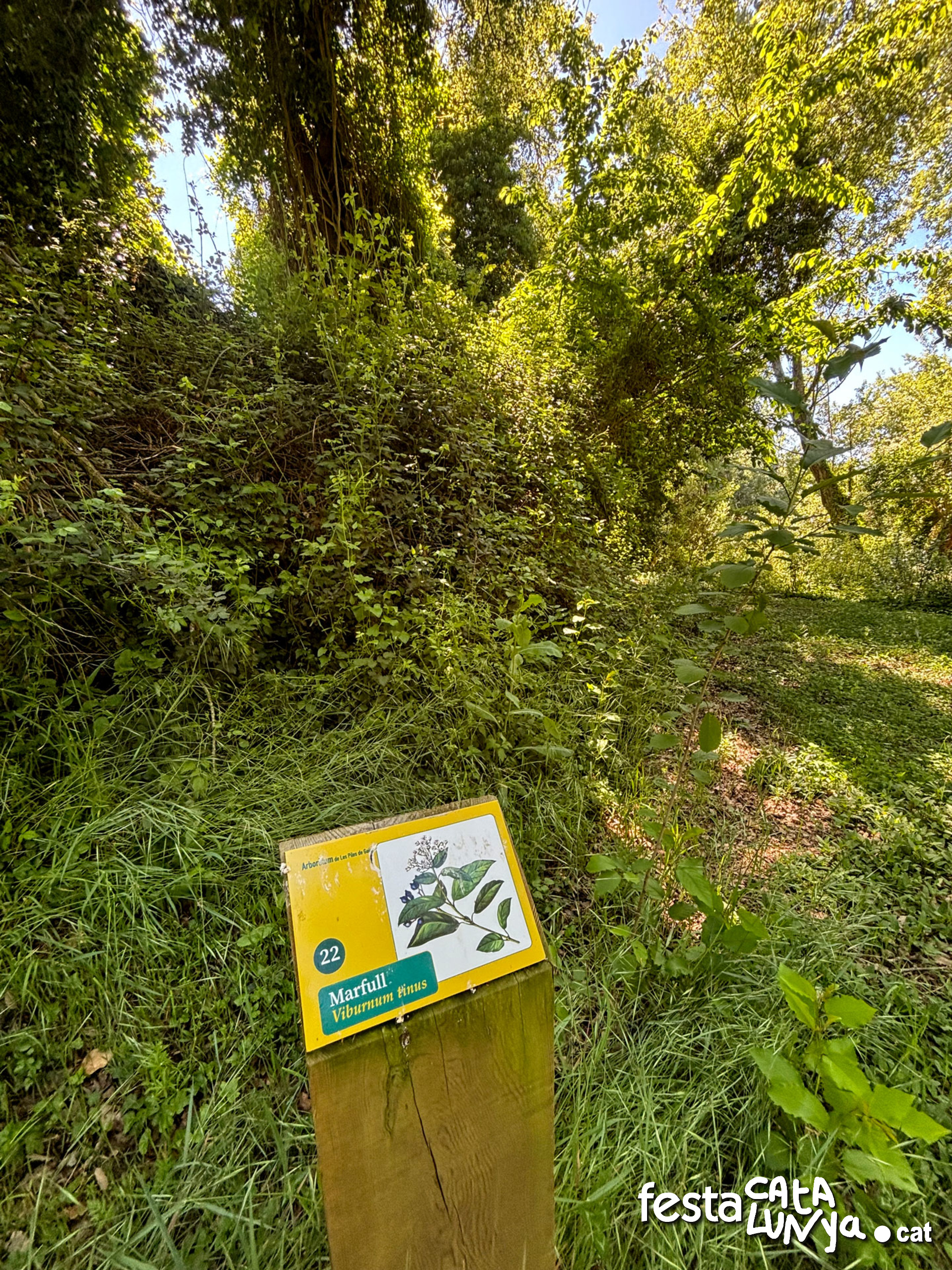 Les Piles - Arborètum