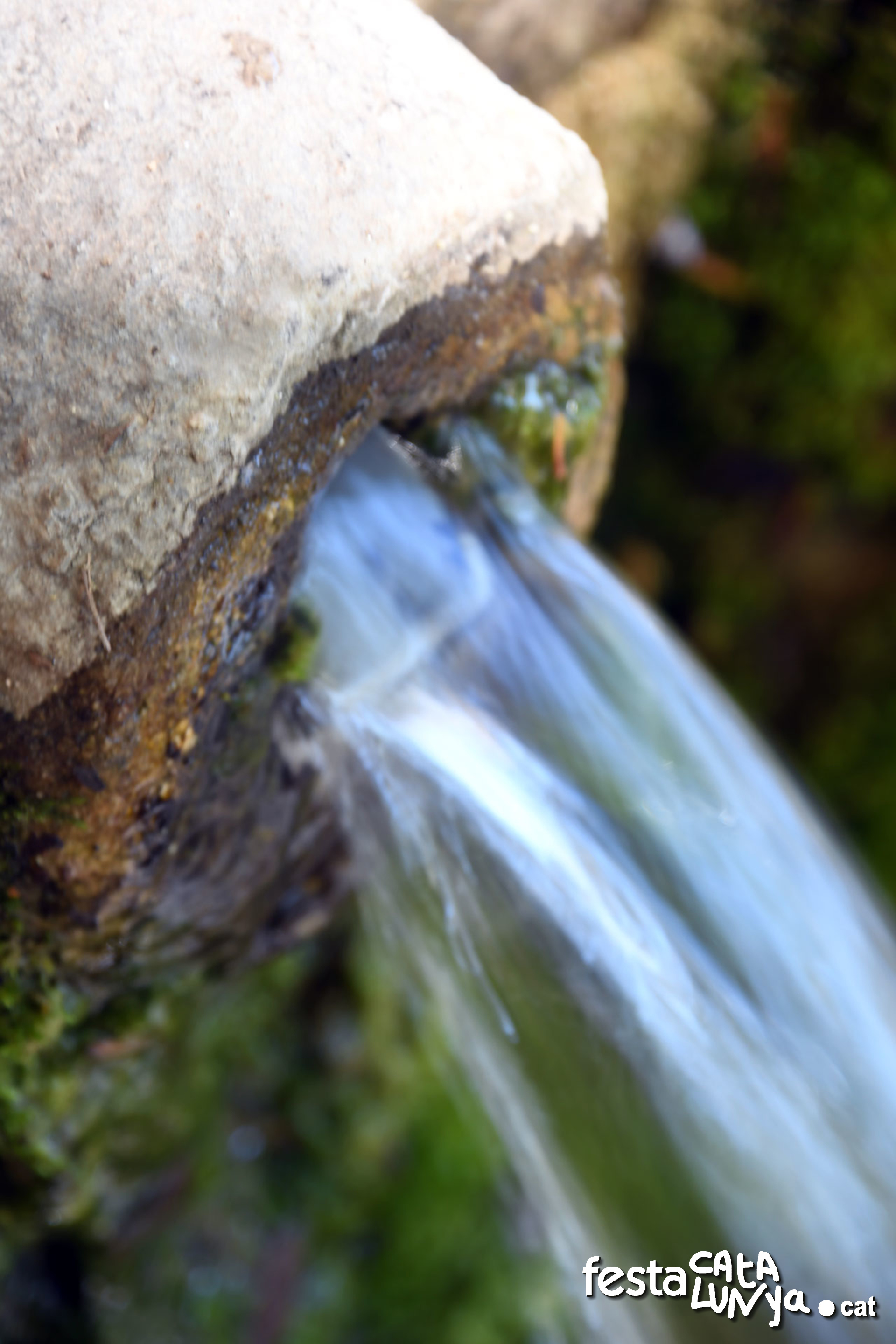 Les Piles - Fonts i brolladors, remor d'aigua (Font de Biure)