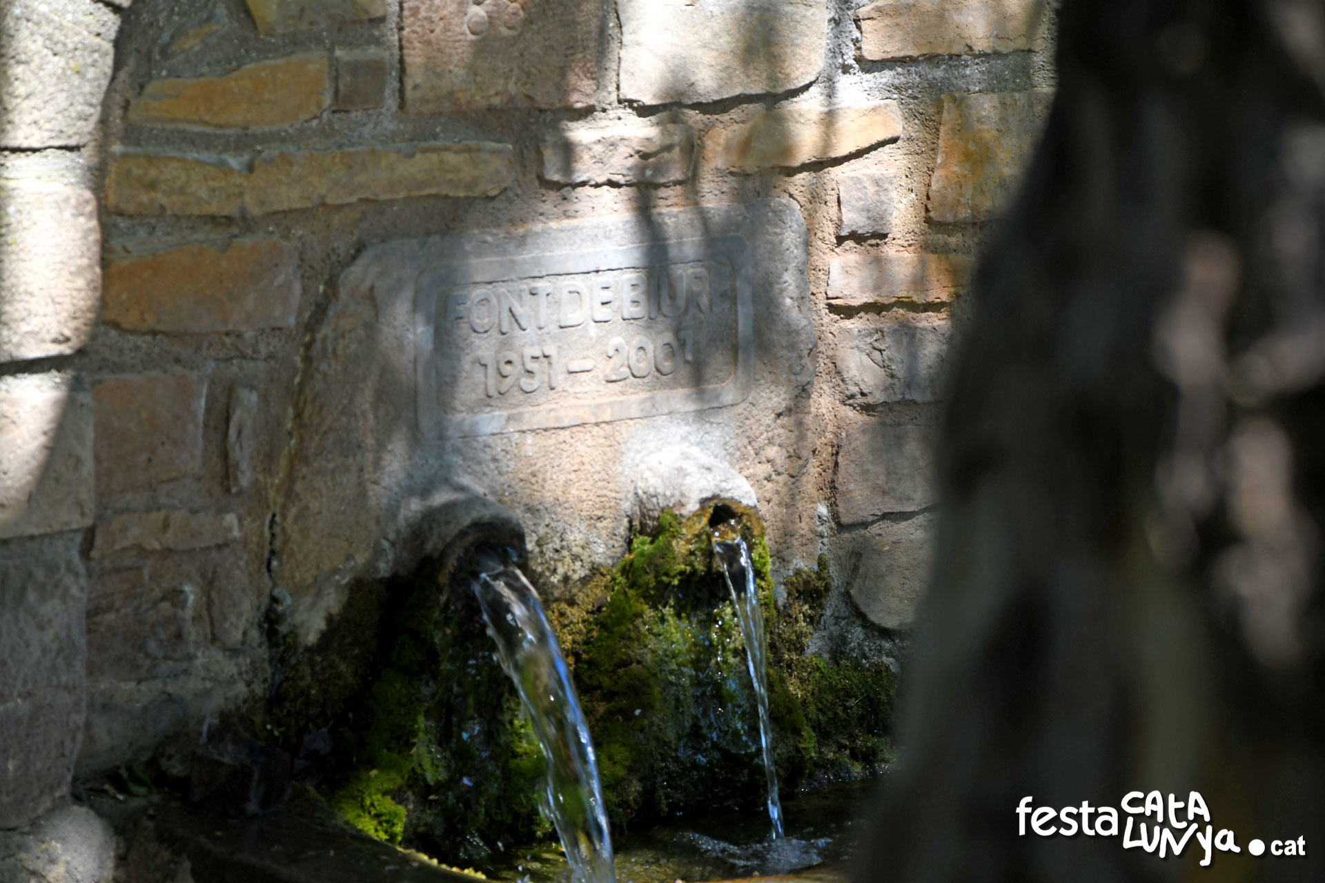 Les Piles - Fonts i brolladors, remor d'aigua (Font de Biure)