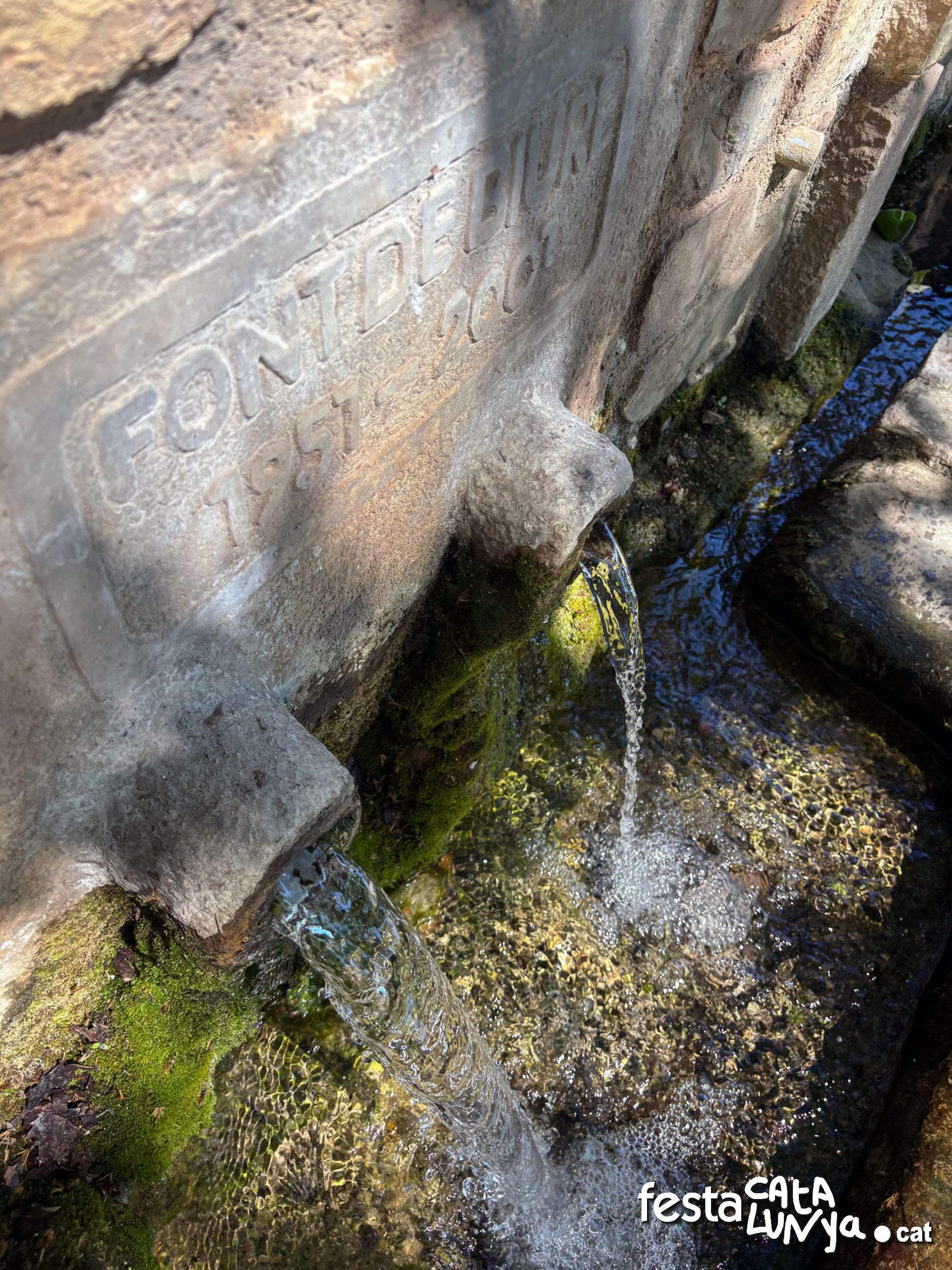 Les Piles - Fonts i brolladors, remor d'aigua (Font de Biure)