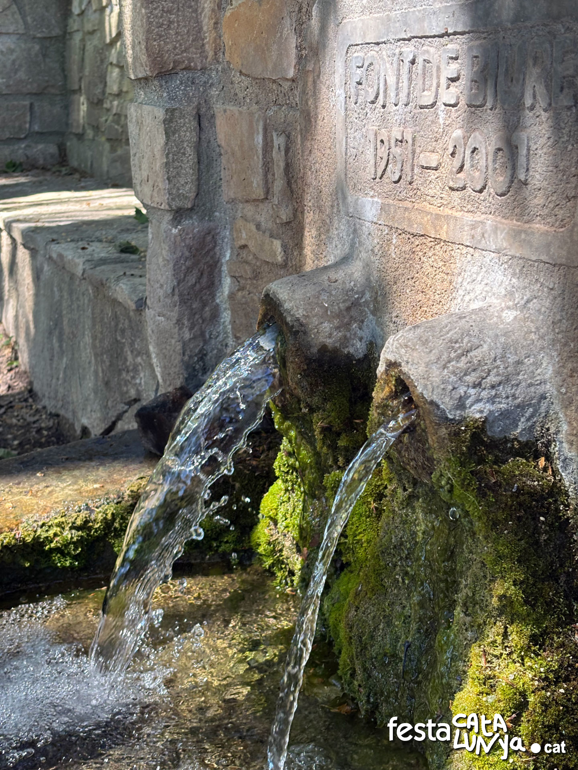 Les Piles - Fonts i brolladors, remor d'aigua (Font de Biure)