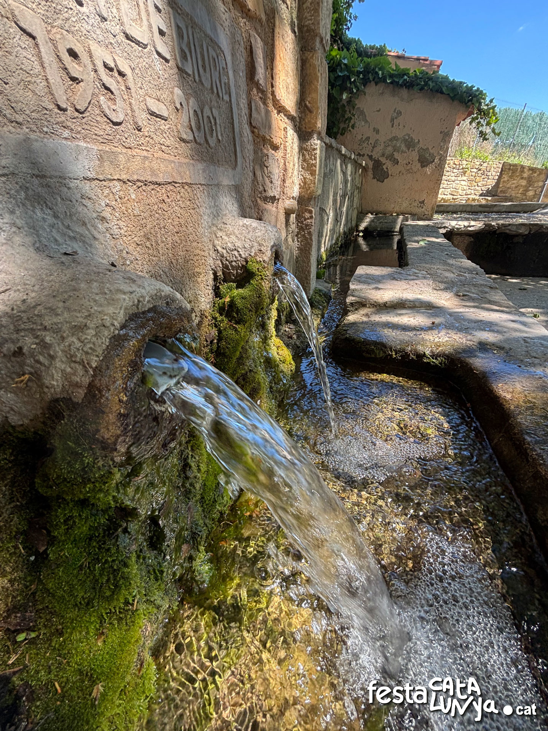 Les Piles - Fonts i brolladors, remor d'aigua (Font de Biure)