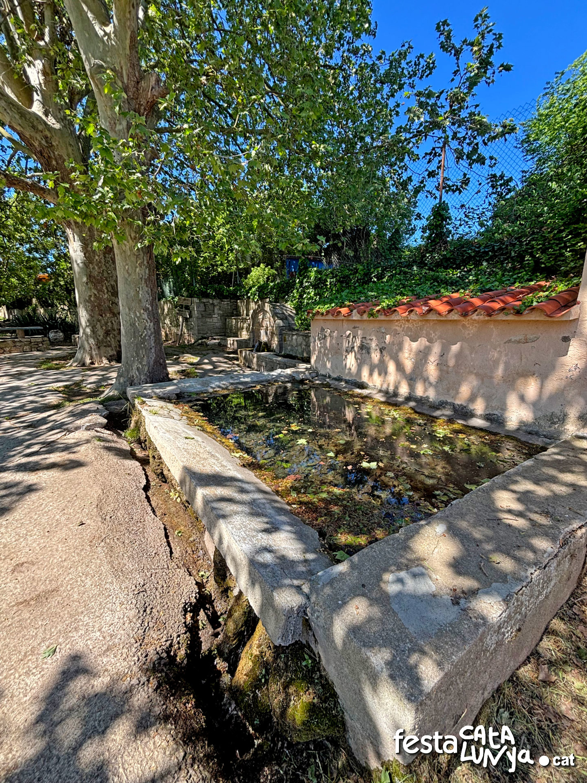 Les Piles - Fonts i brolladors, remor d'aigua (Font de Biure)