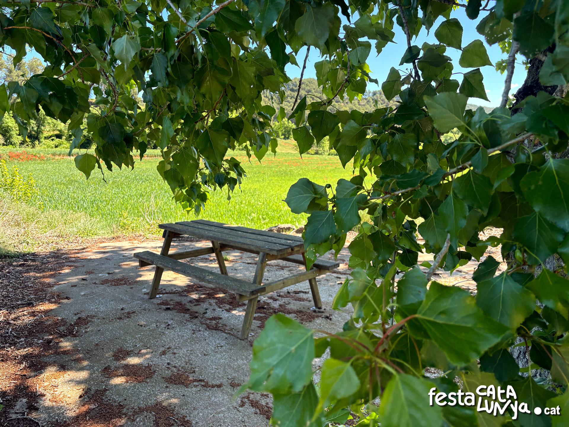 Les Piles - Fonts i brolladors, remor d'aigua (Font Freda)