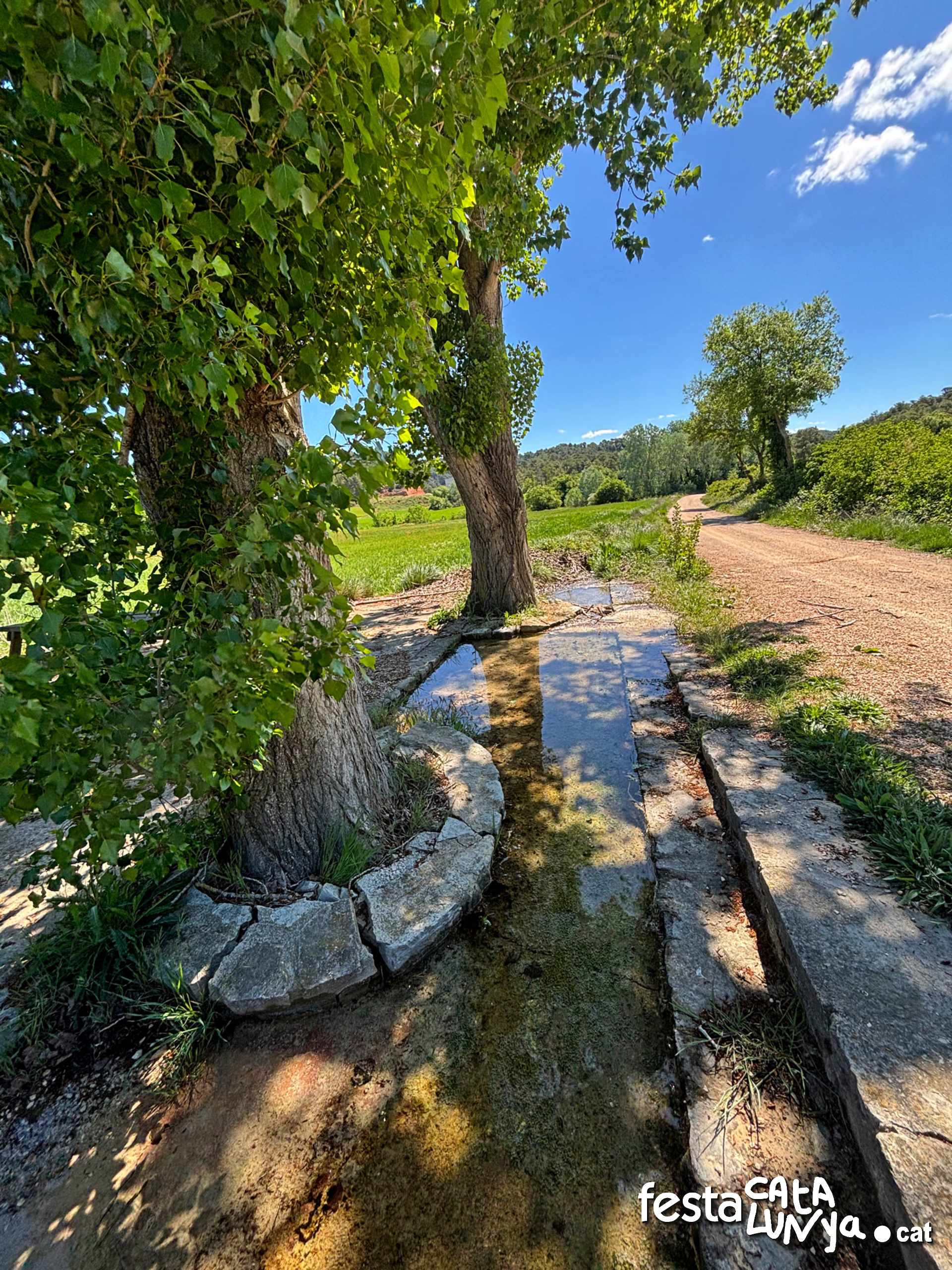 Les Piles - Fonts i brolladors, remor d'aigua (Font Freda)